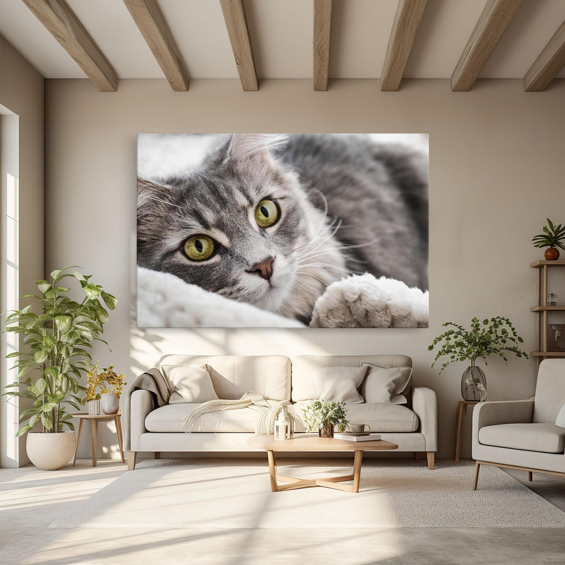 Vászonkép Grey Fluffy Cat mockup 6