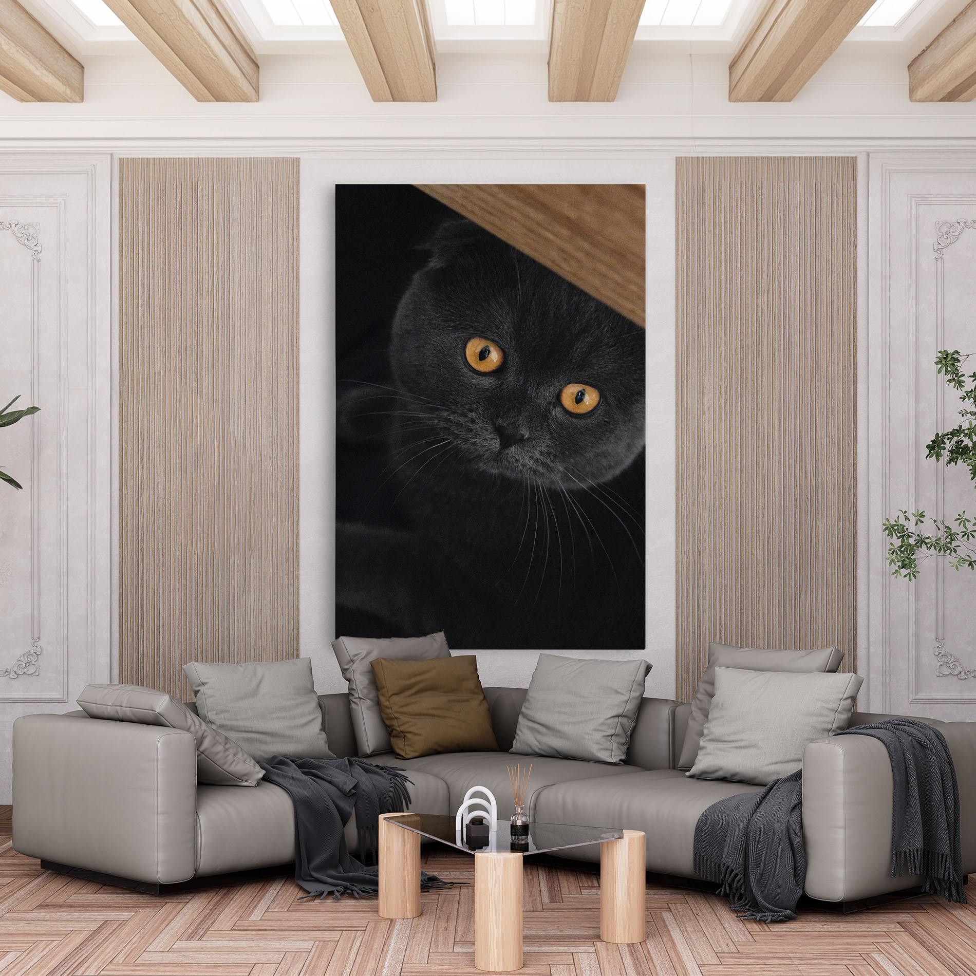 Vászonkép Grey Cat With Orange Eyes mockup 6