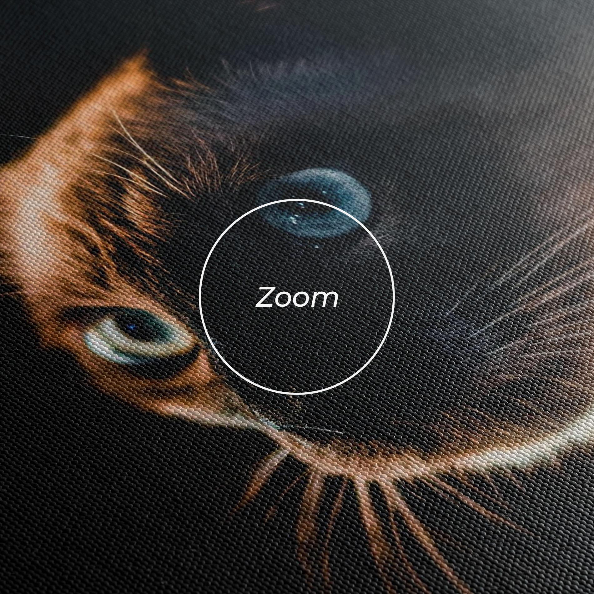 Vászonkép Blue Eyes Cat In Dark mockup 3
