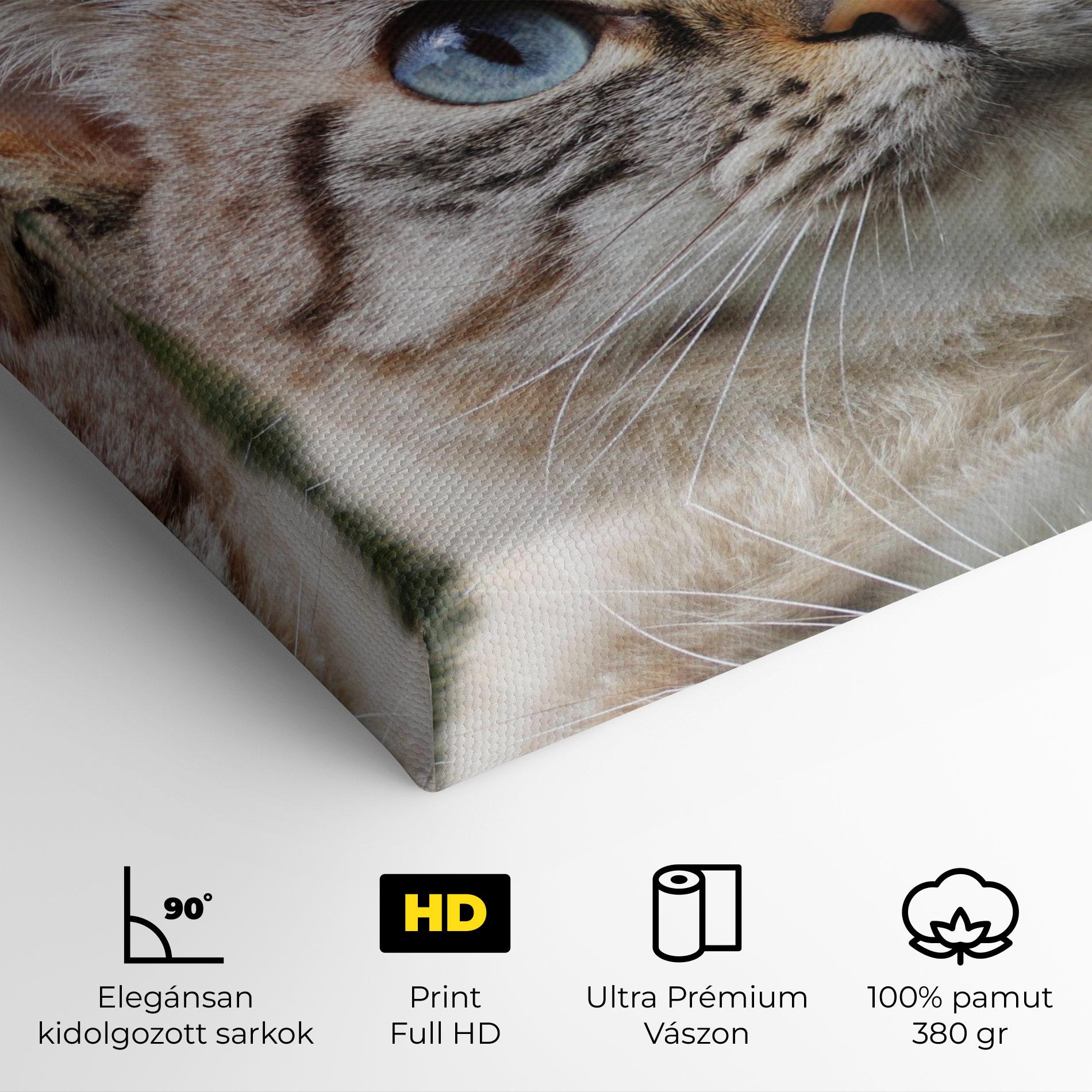 Vászonkép Blue Eyes Cutie mockup 4