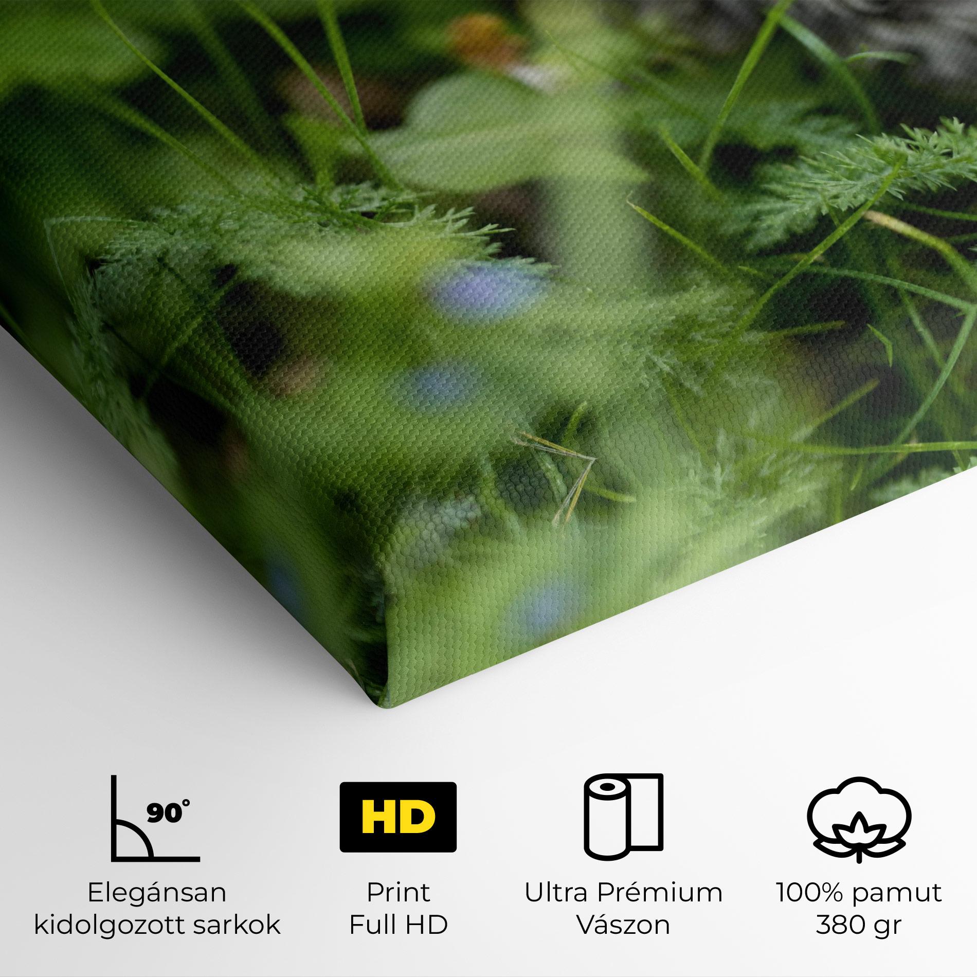 Vászonkép Brown Baby Cat mockup 4