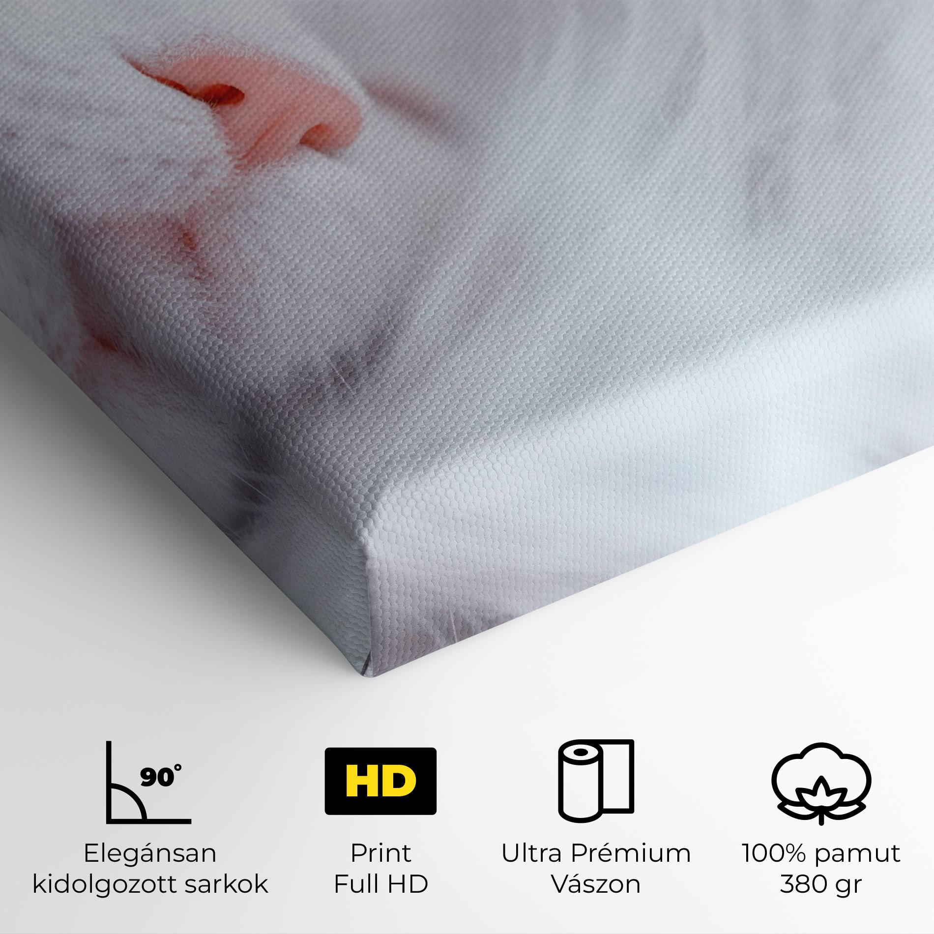 Vászonkép Dreamy White Cat mockup 4