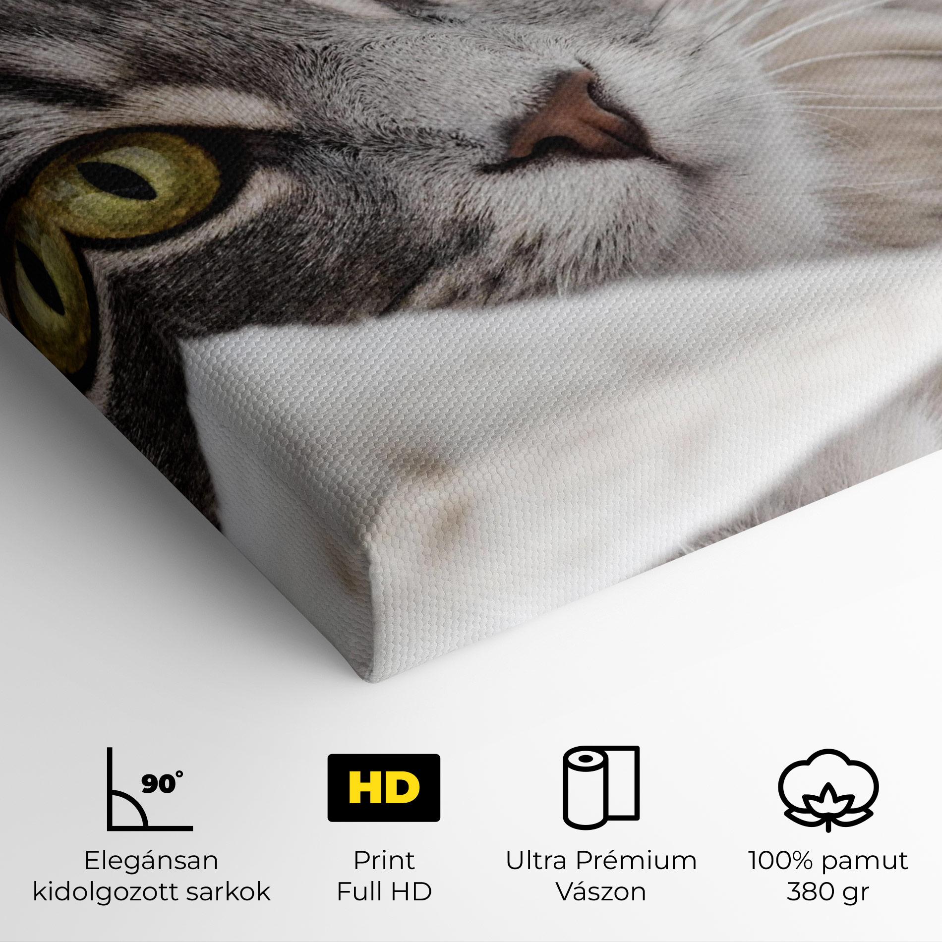 Vászonkép Grey Fluffy Cat mockup 4