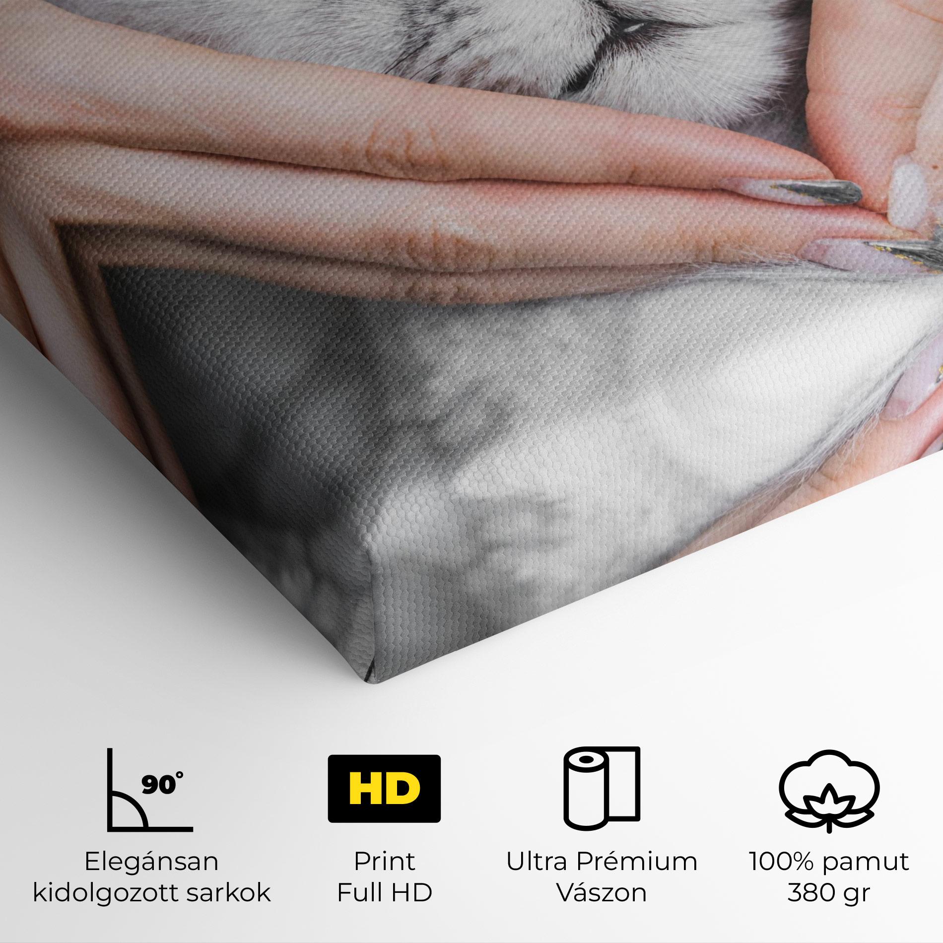Vászonkép Lovely Cat mockup 4