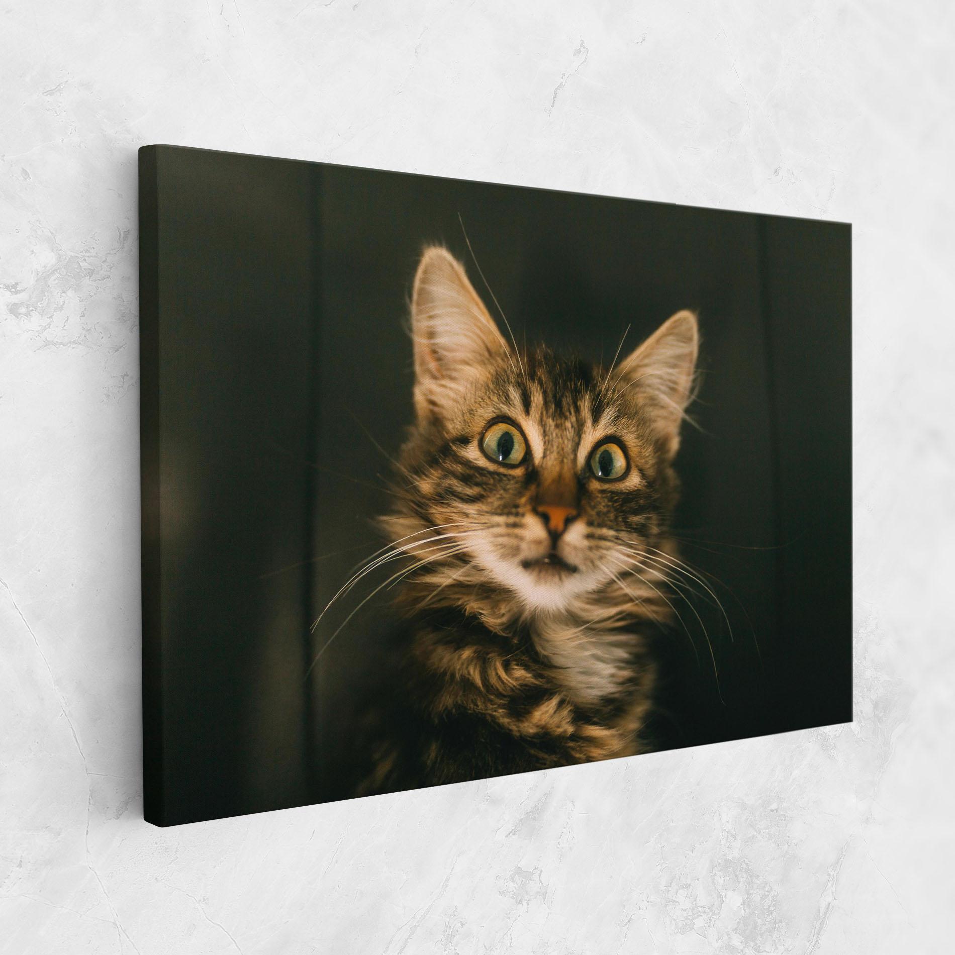 Vászonkép Amazed Cat mockup 1