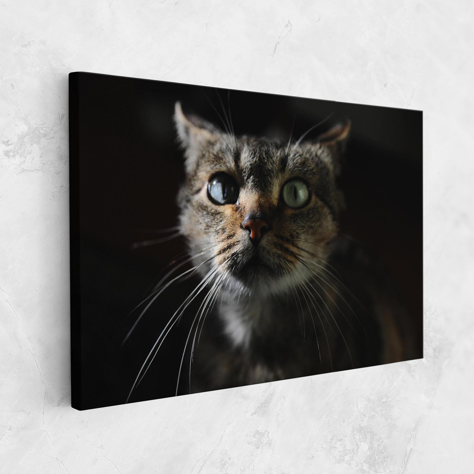 Vászonkép Playful Cat mockup 1