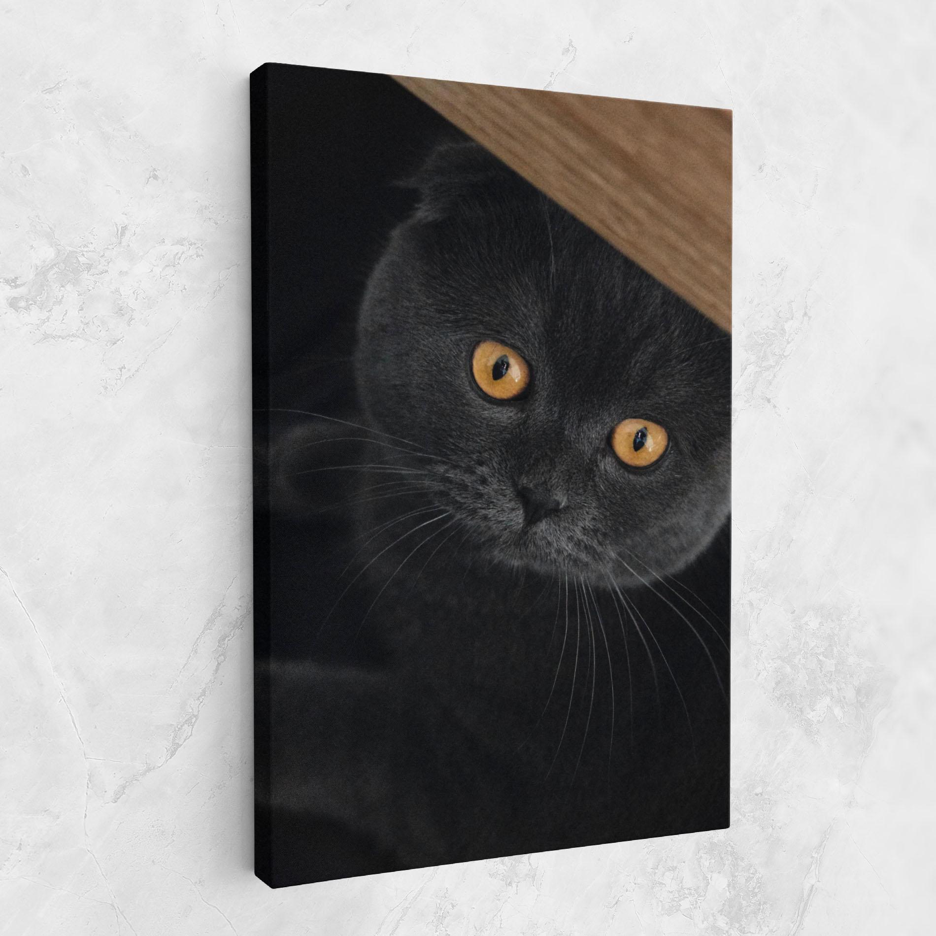 Vászonkép Grey Cat With Orange Eyes mockup 1