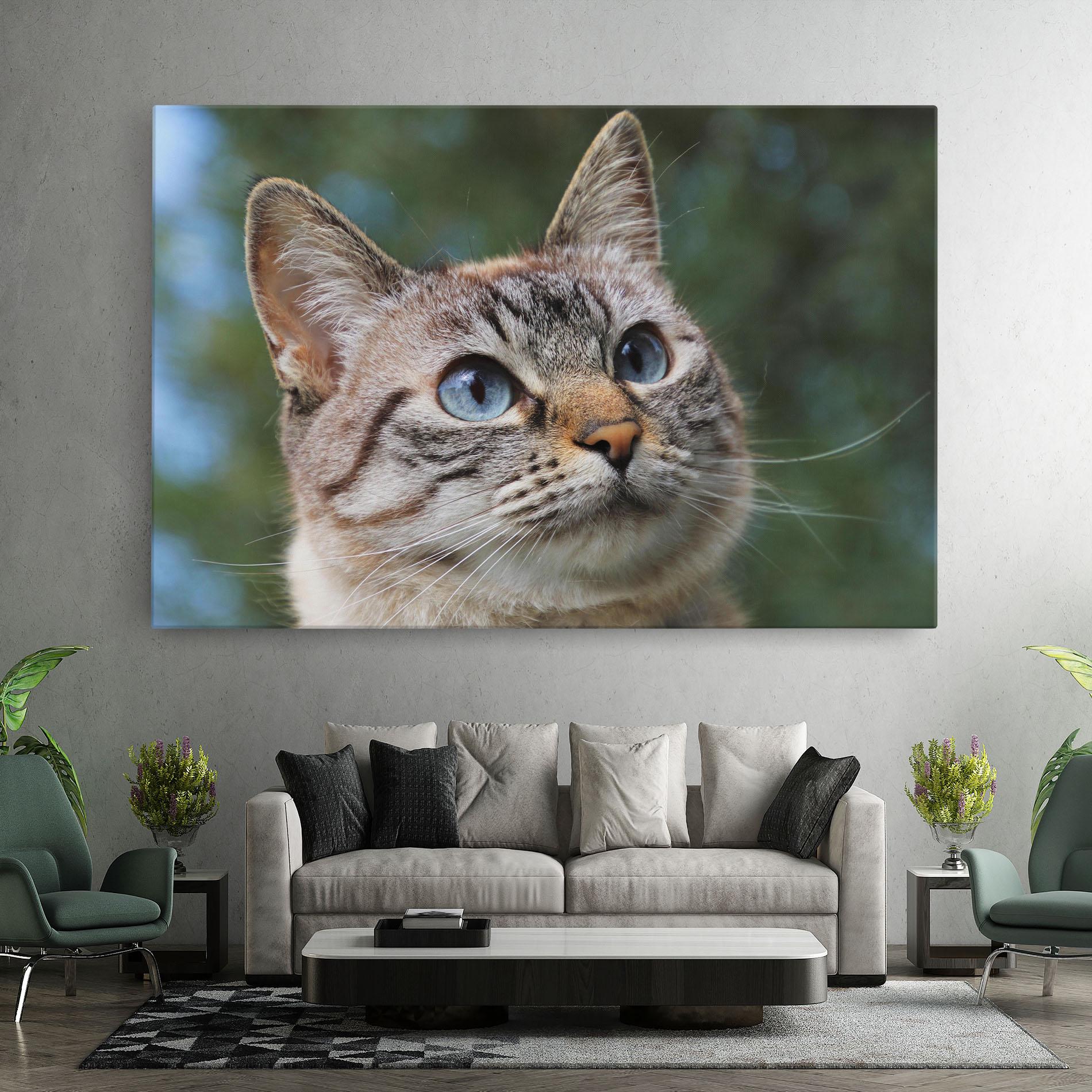 Vászonkép Blue Eyes Cutie mockup 7