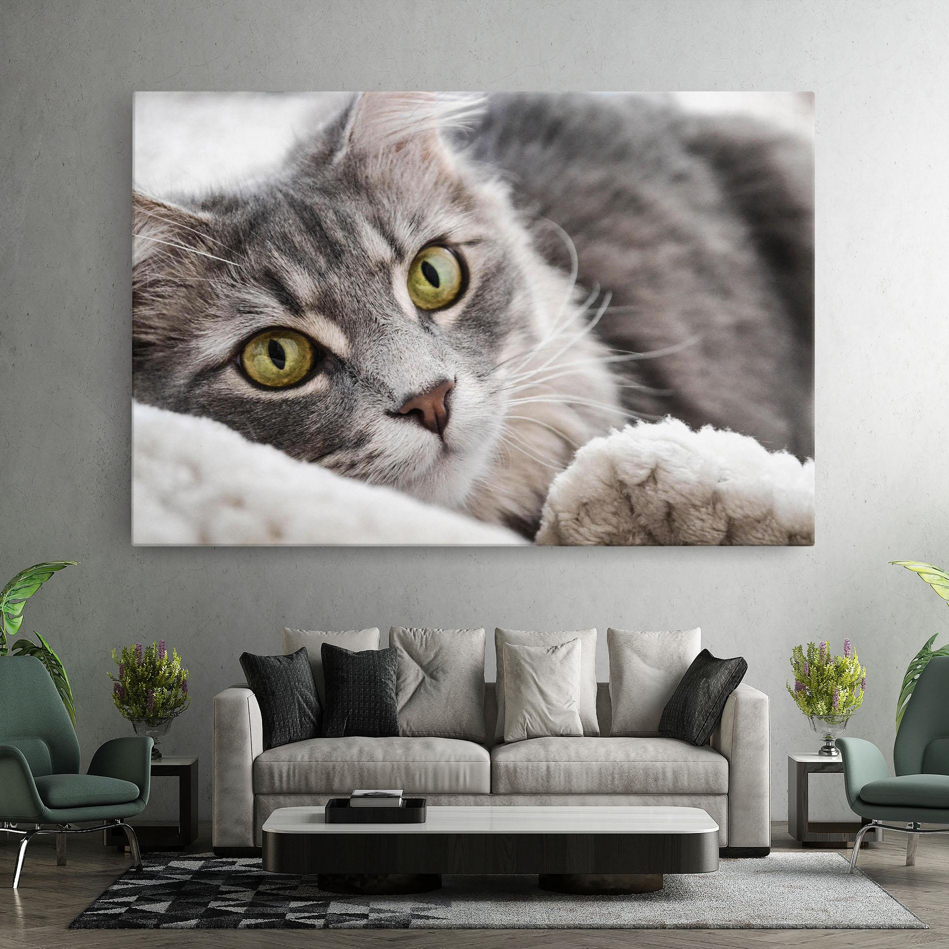 Vászonkép Grey Fluffy Cat mockup 7
