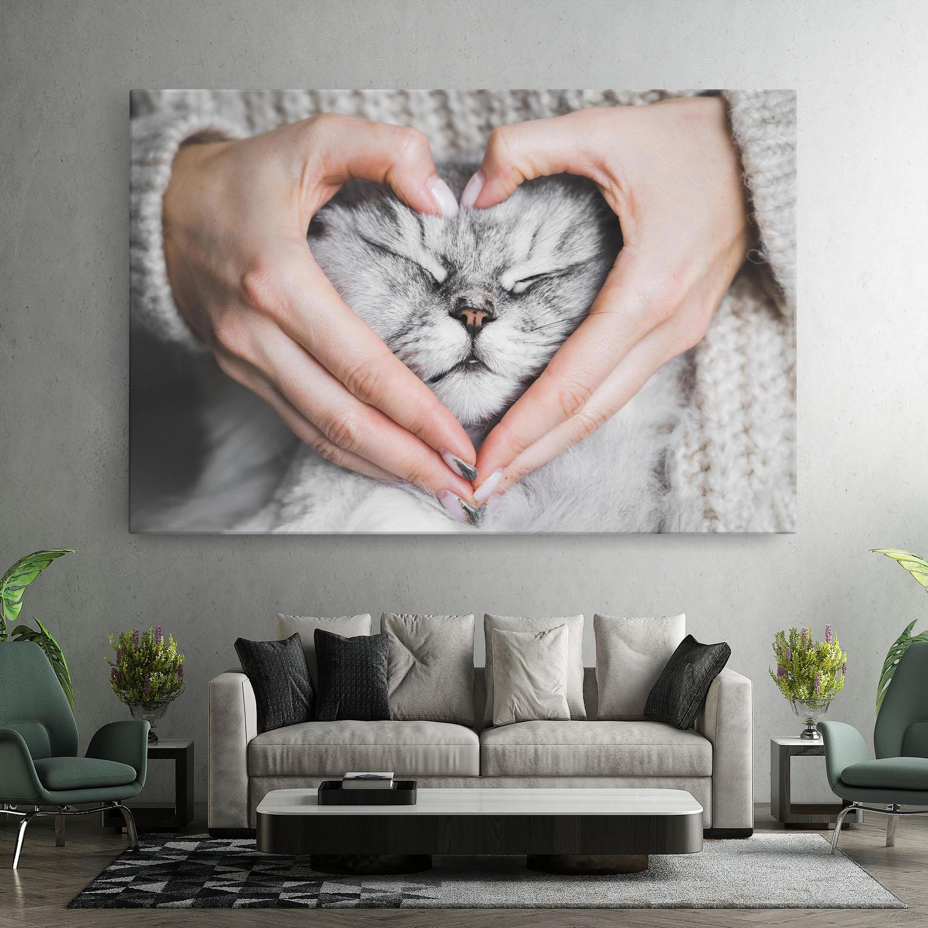 Vászonkép Lovely Cat mockup 7