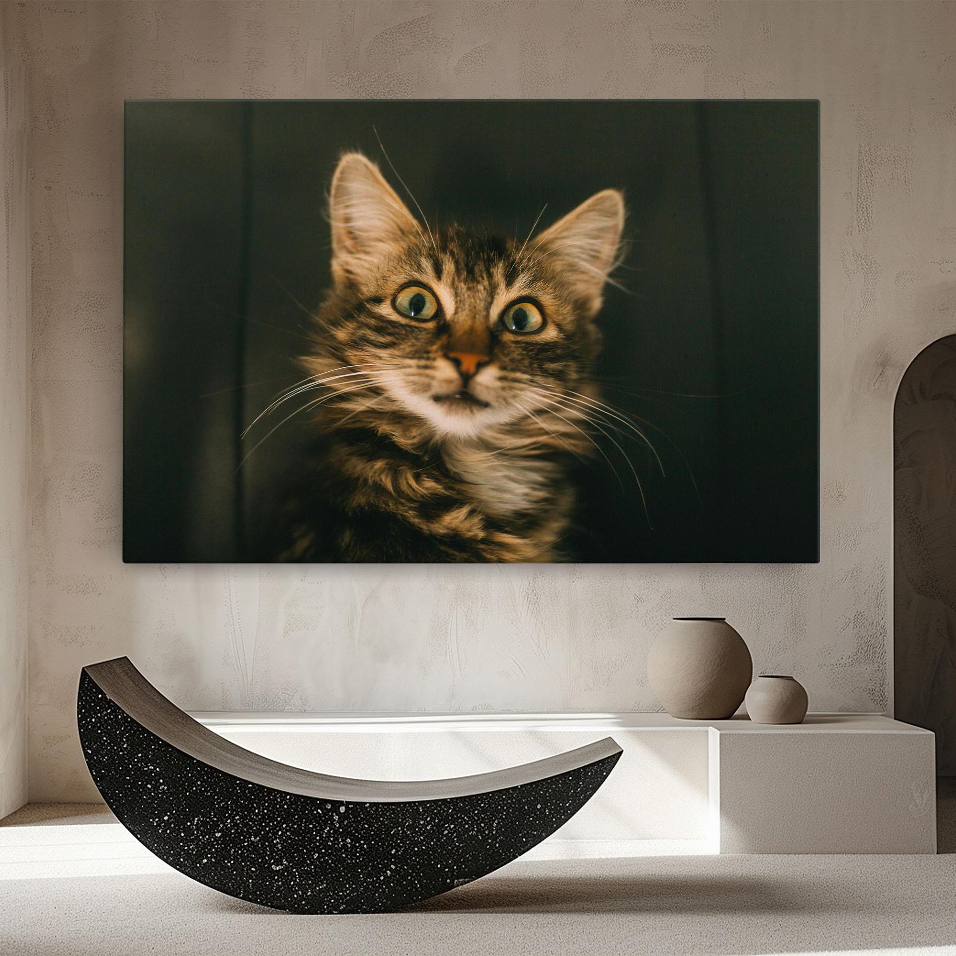 Vászonkép Amazed Cat mockup 8