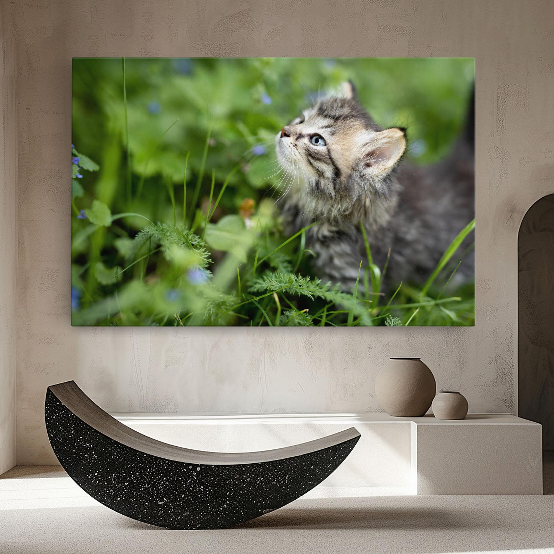 Vászonkép Brown Baby Cat mockup 8