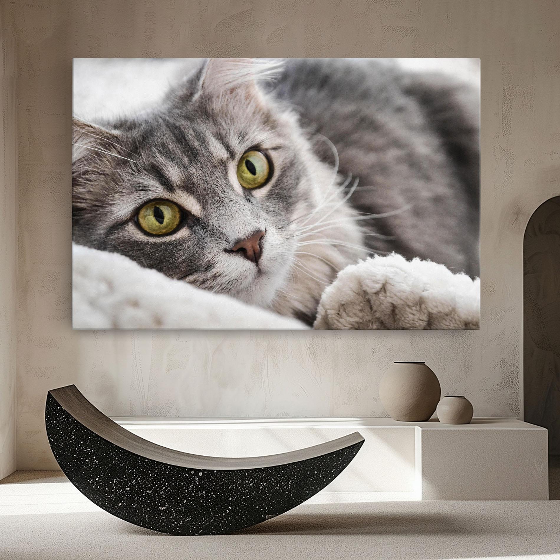 Vászonkép Grey Fluffy Cat mockup 8