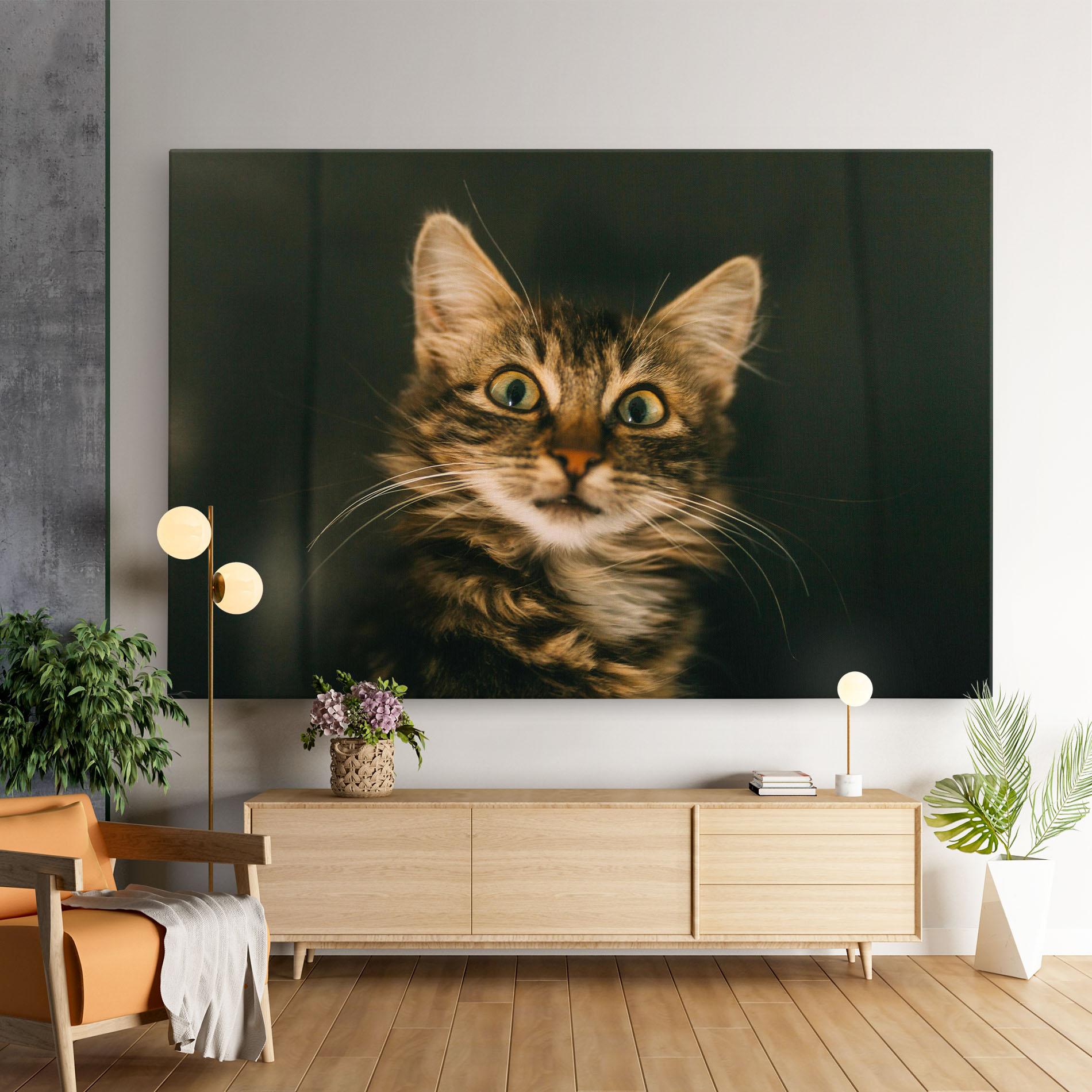 Vászonkép Amazed Cat mockup 9