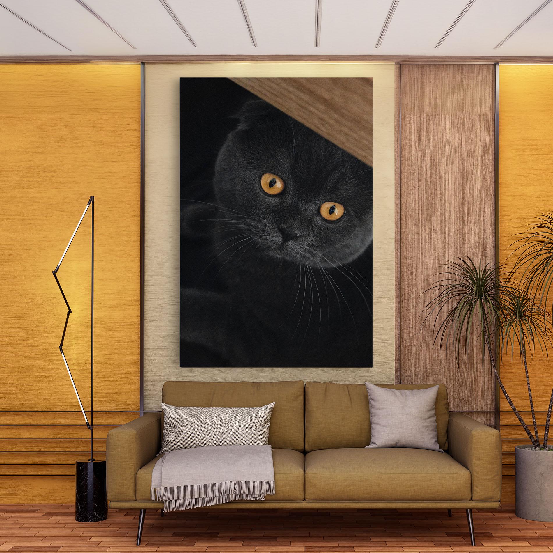 Vászonkép Grey Cat With Orange Eyes mockup 9