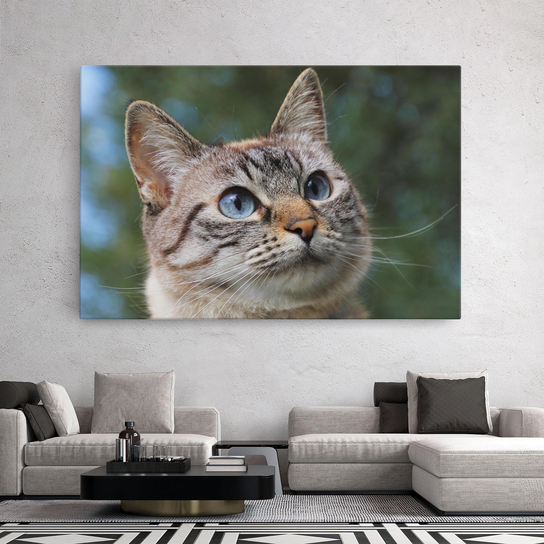 Vászonkép Blue Eyes Cutie mockup 2