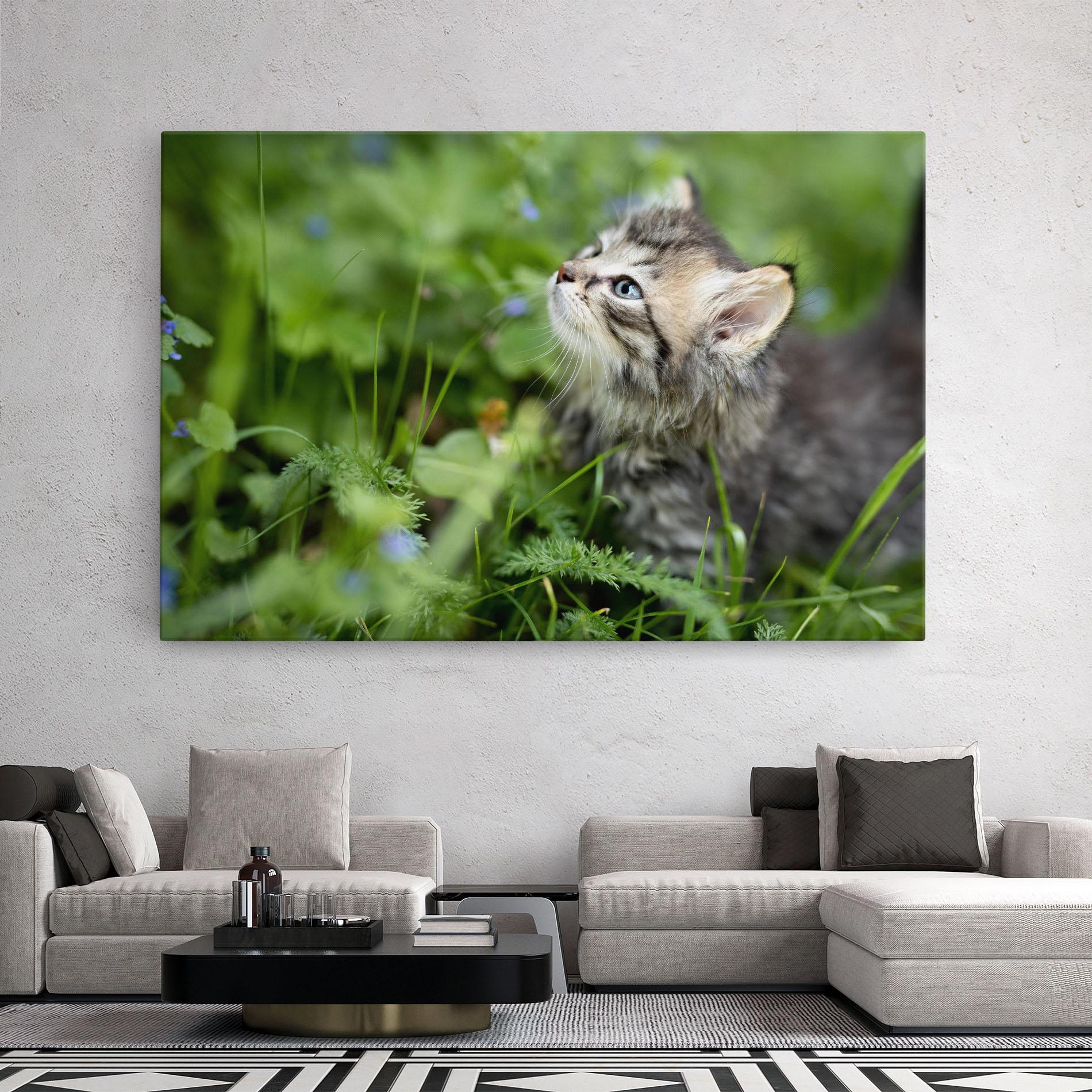 Vászonkép Brown Baby Cat mockup 2