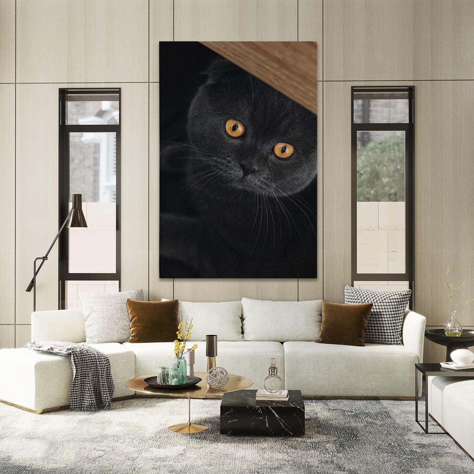 Vászonkép Grey Cat With Orange Eyes mockup 2