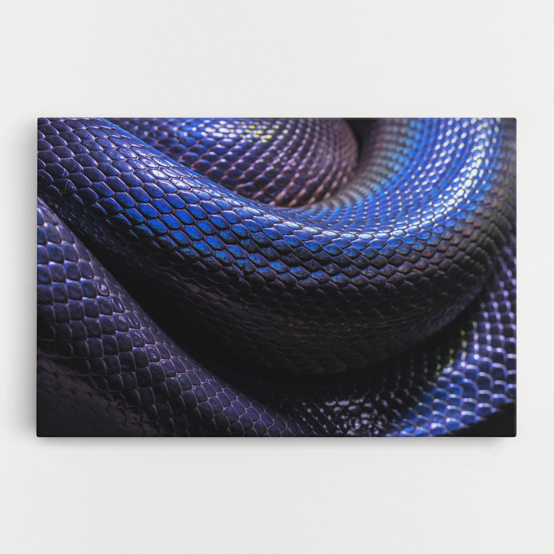Vászonkép Snake Skin mockup 0