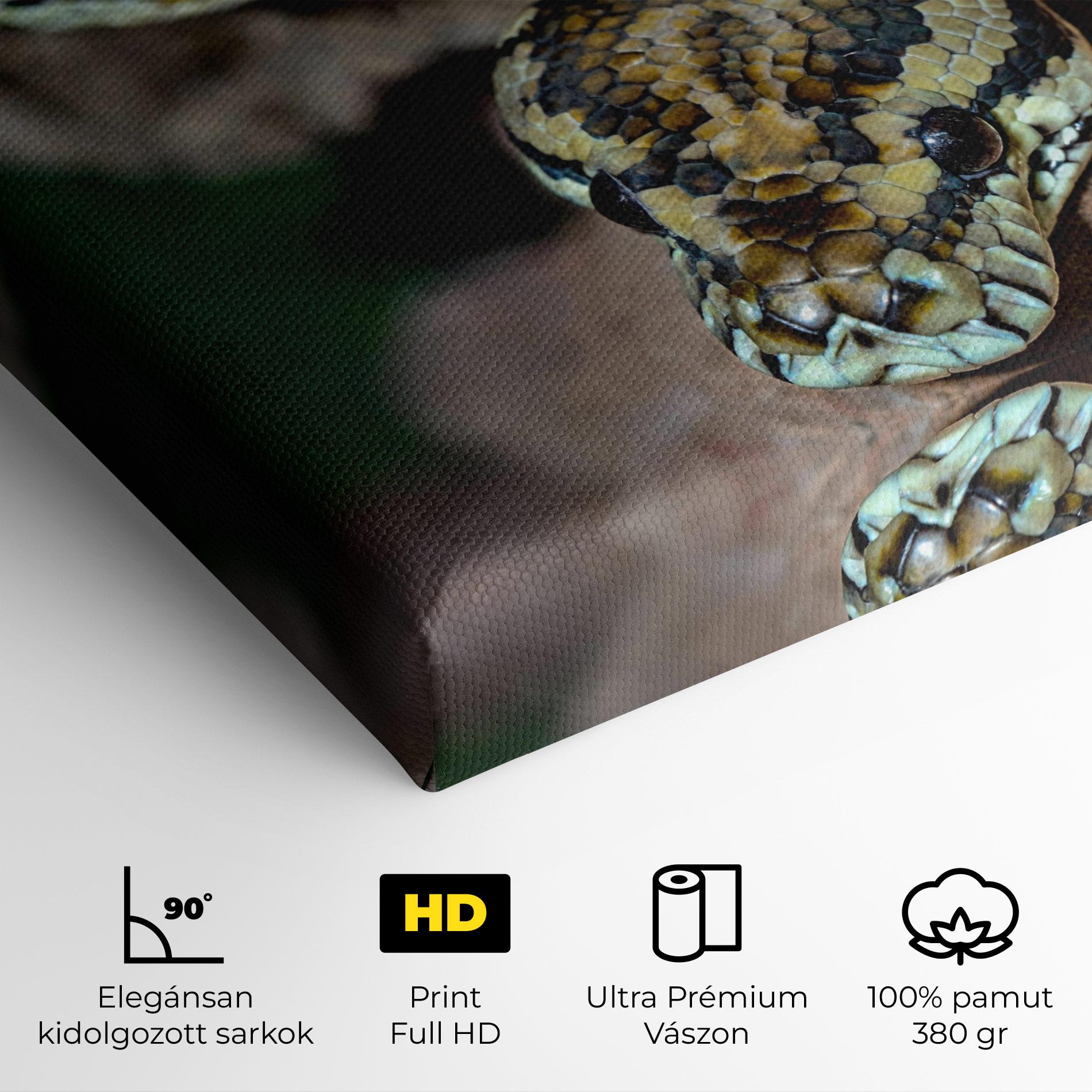 Vászonkép King Snake mockup 4