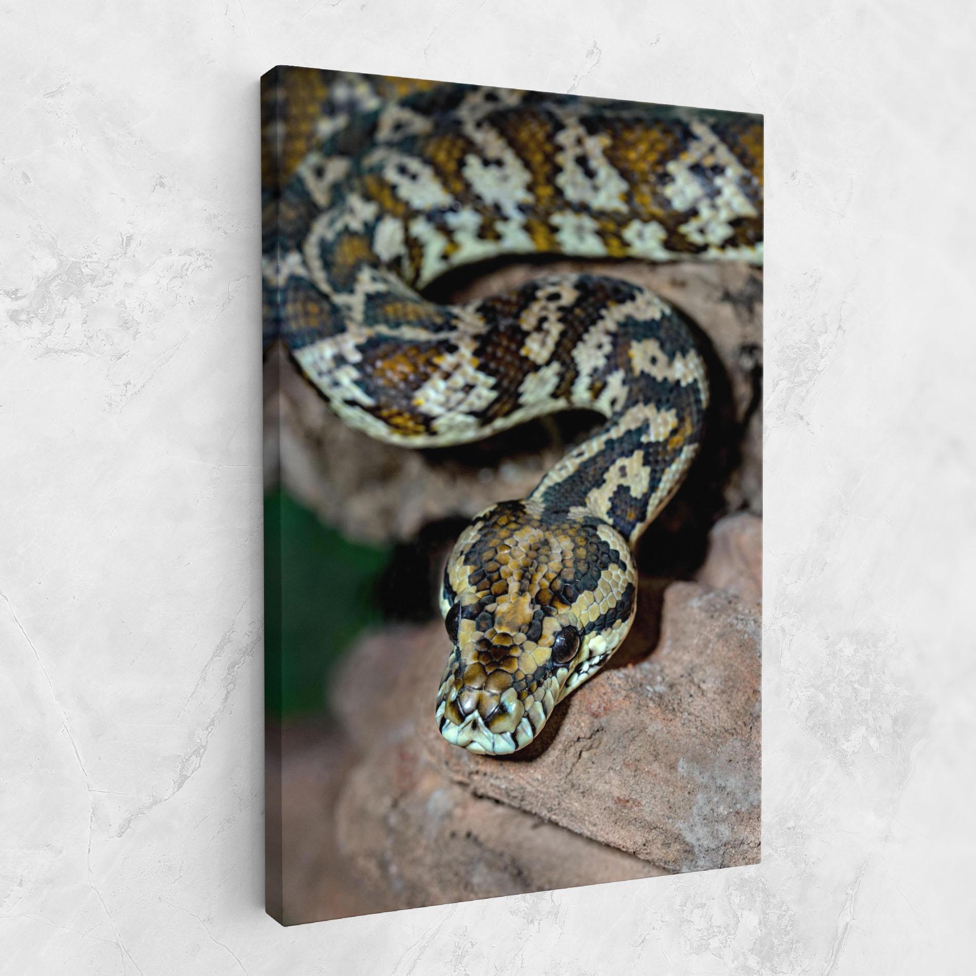 Vászonkép King Snake mockup 1