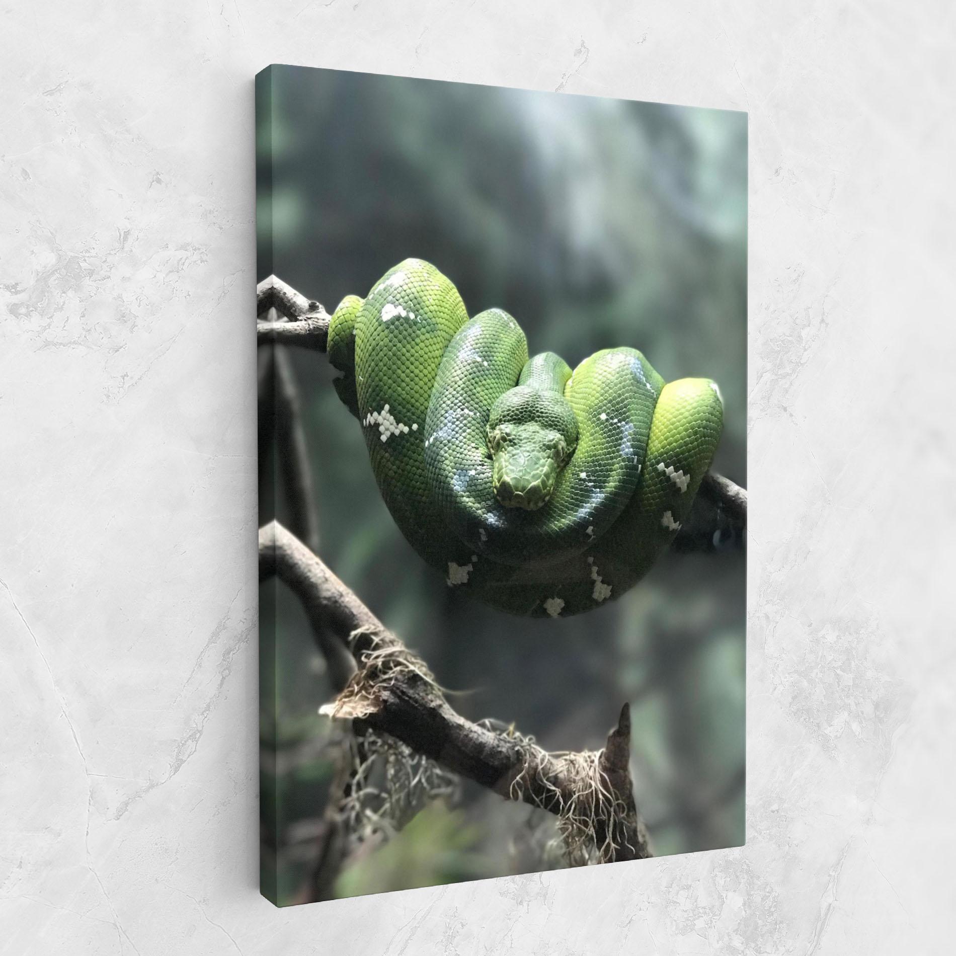Vászonkép Sleepy Snake mockup 1