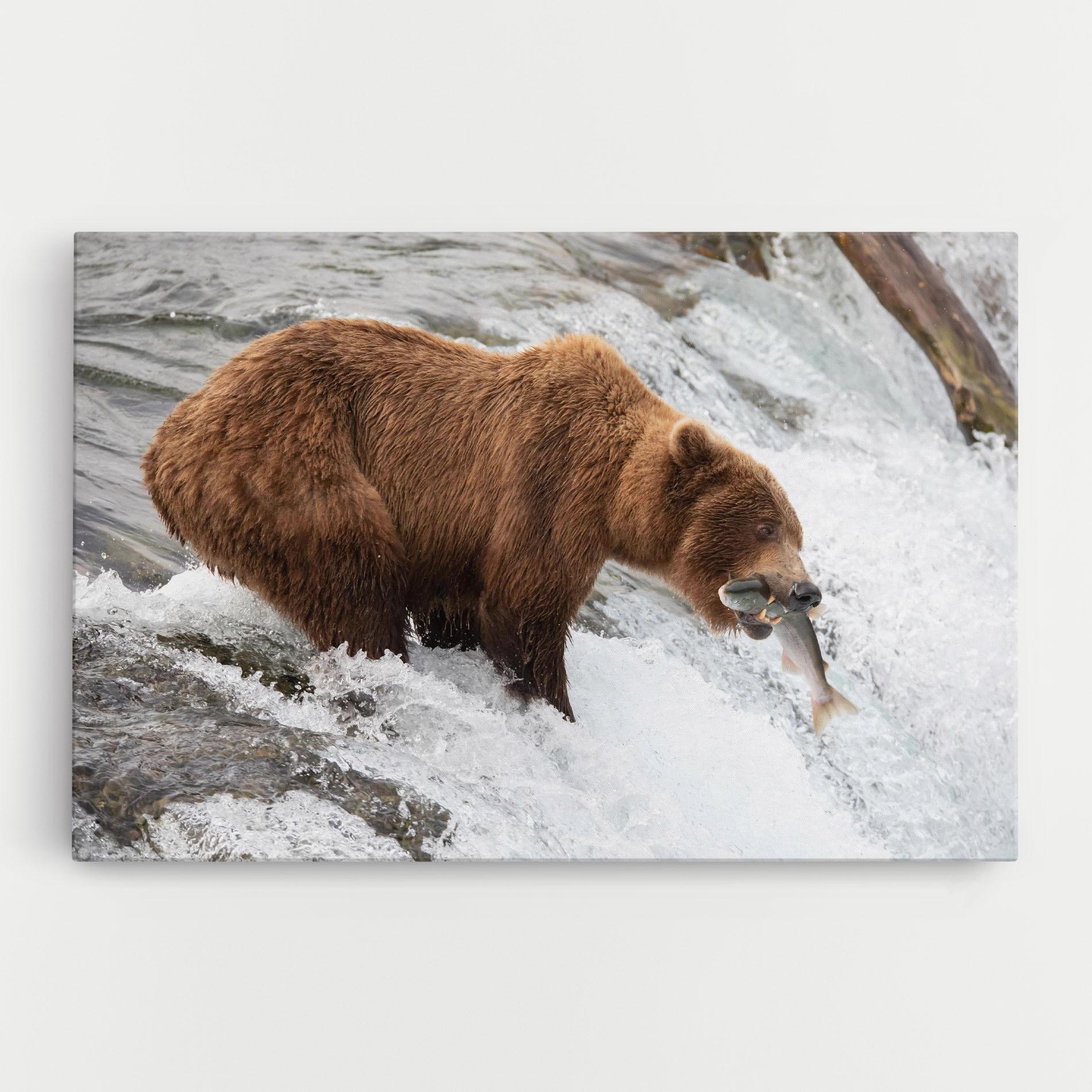 Vászonkép Bear Hunting mockup 0