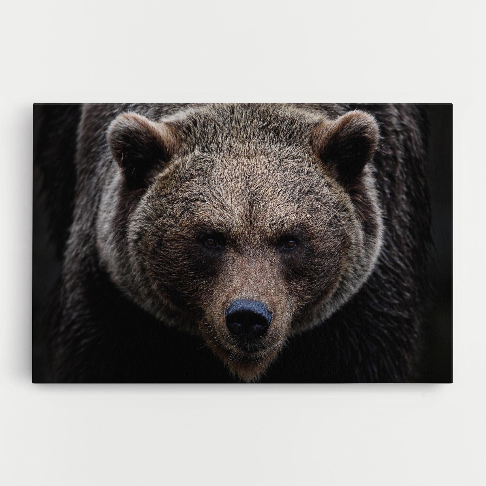 Vászonkép Brown Bear mockup 0