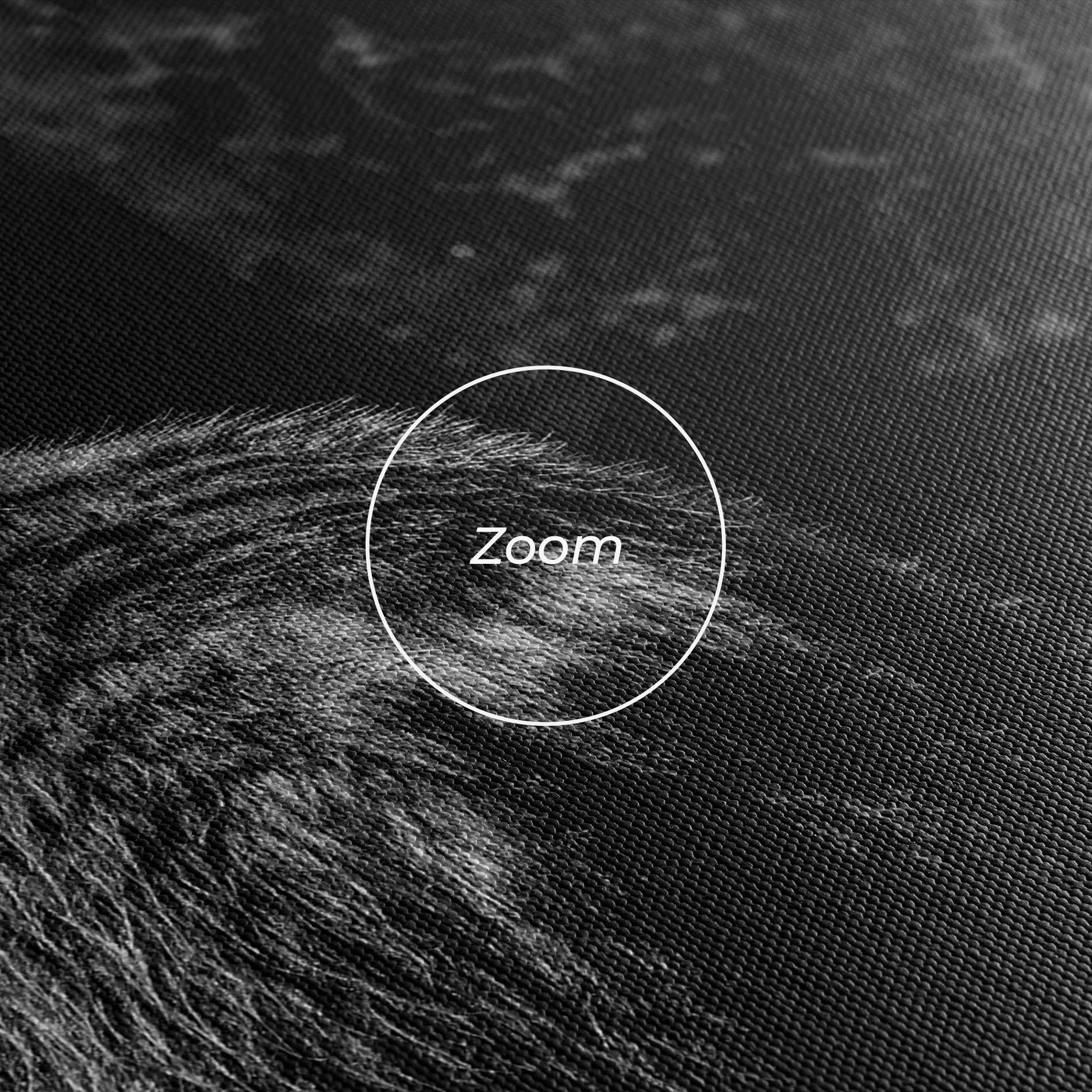 Vászonkép Grey Bear mockup 3