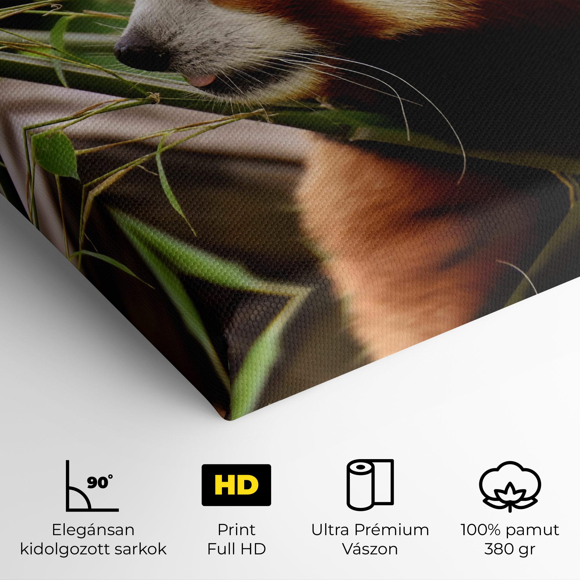 Vászonkép Cute Red Panda mockup 4