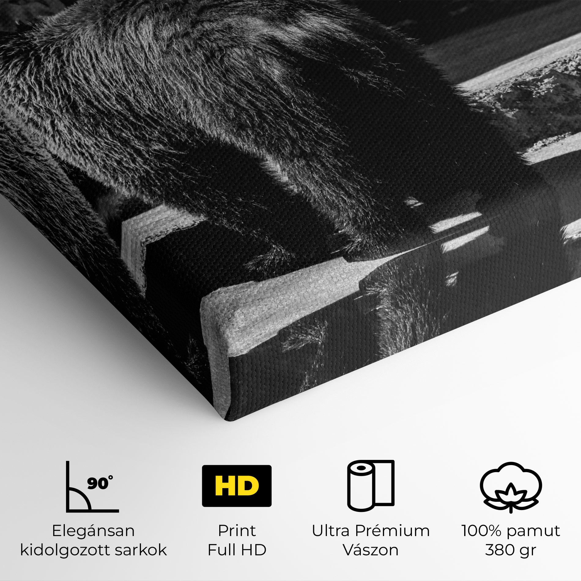 Vászonkép Grey Bear mockup 4