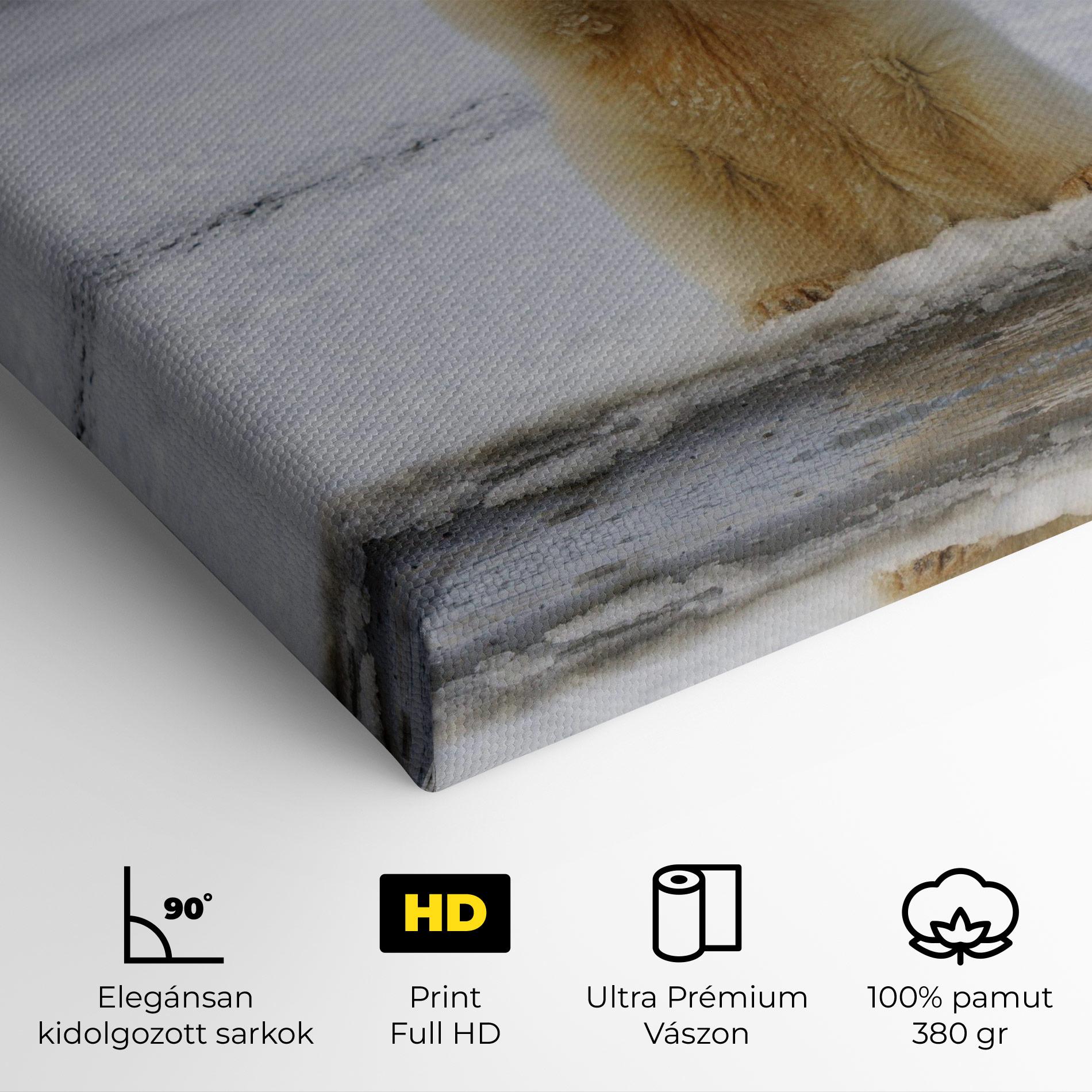 Vászonkép Icebear Praying mockup 4