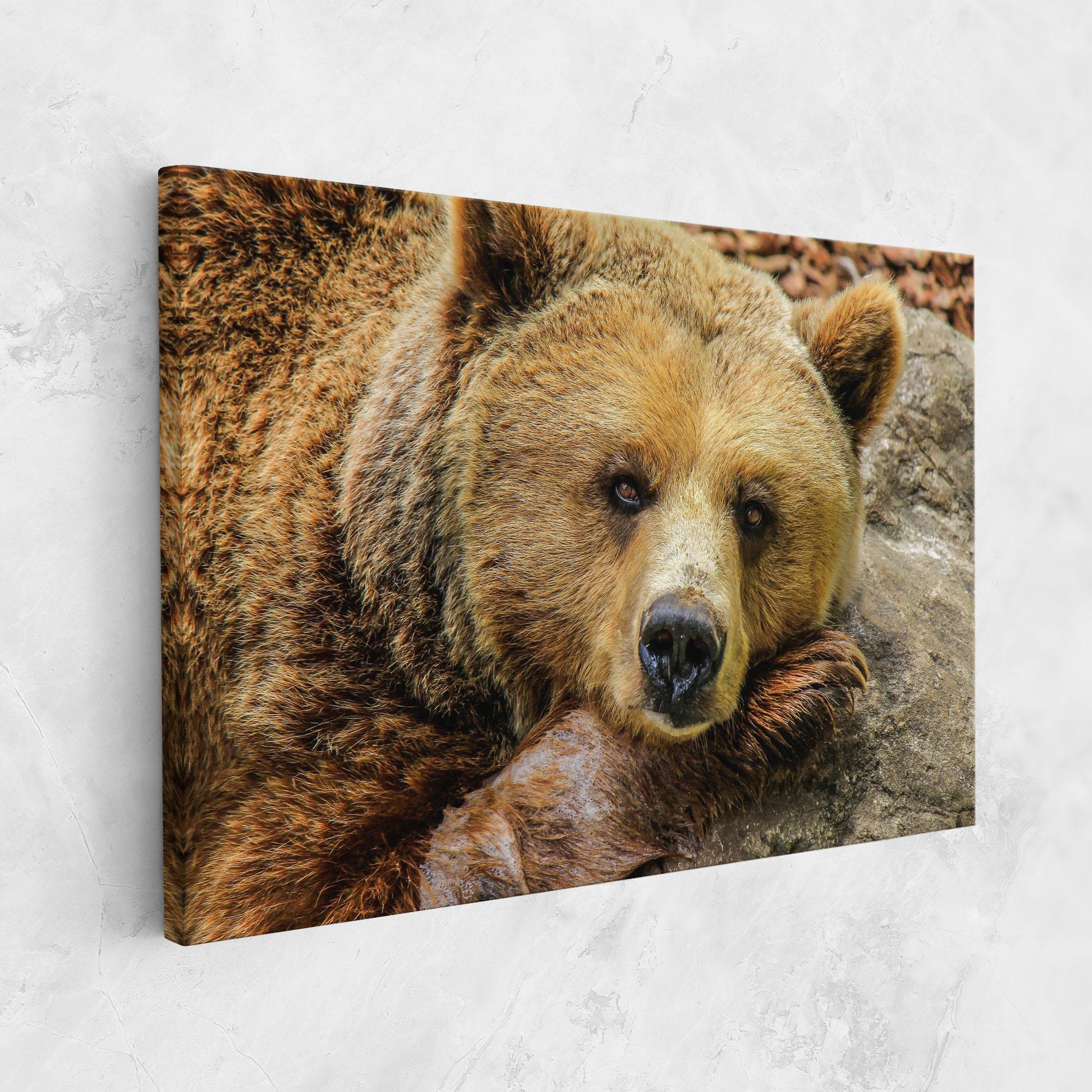Vászonkép Bear mockup 1