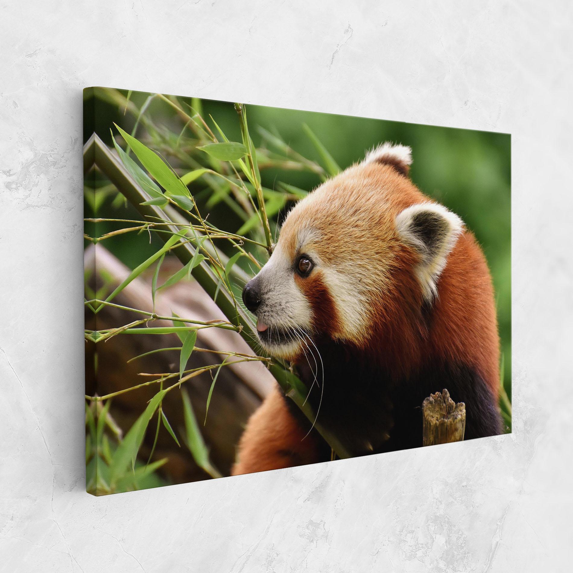 Vászonkép Cute Red Panda mockup 1