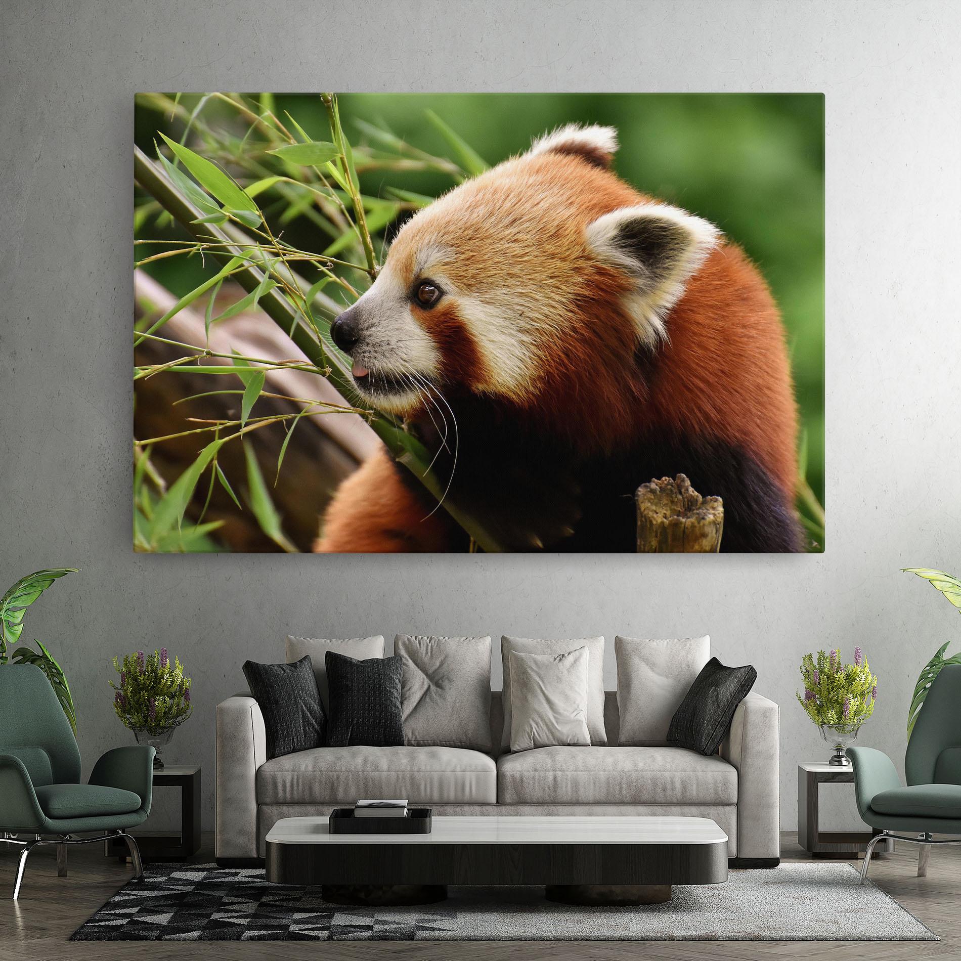 Vászonkép Cute Red Panda mockup 7