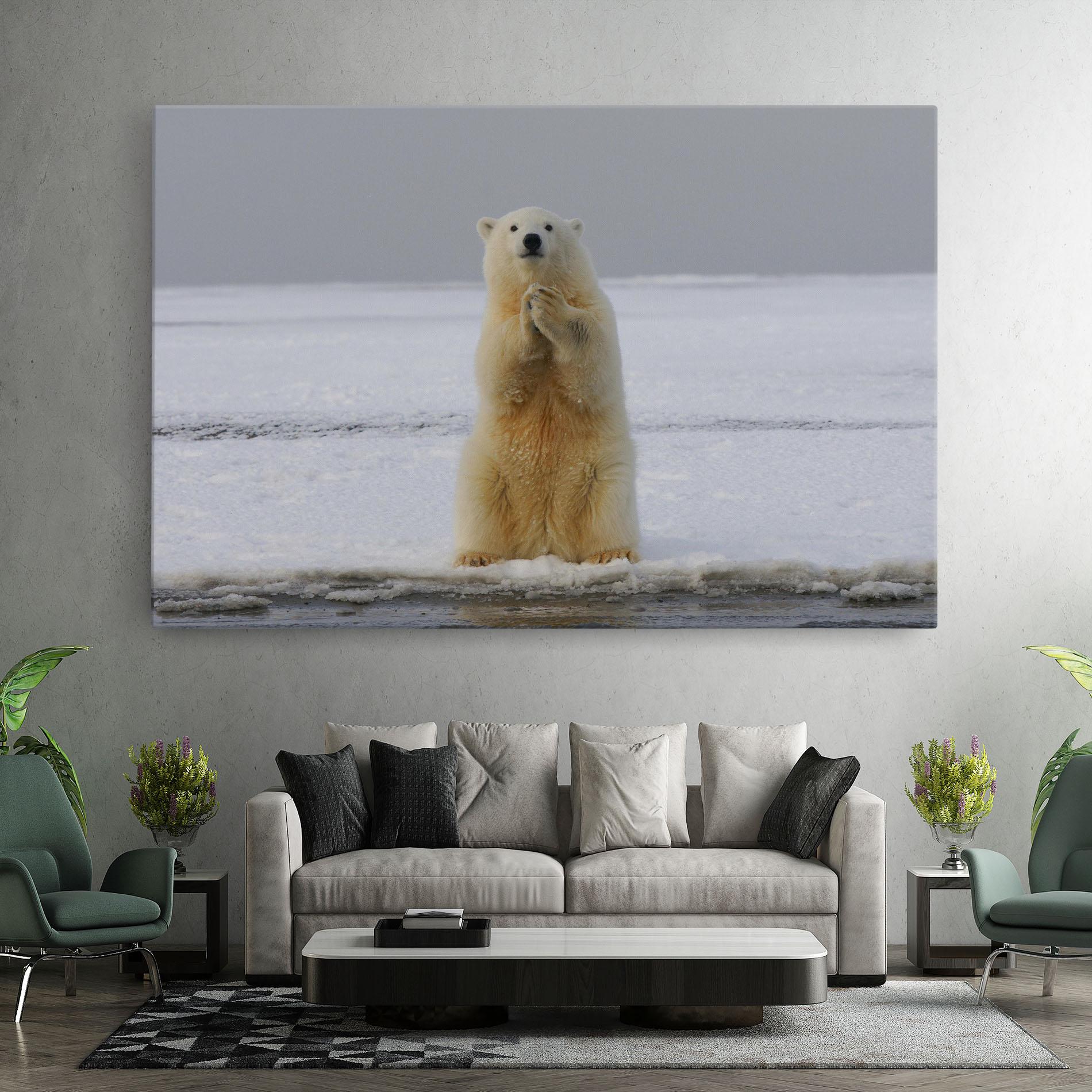 Vászonkép Icebear Praying mockup 7