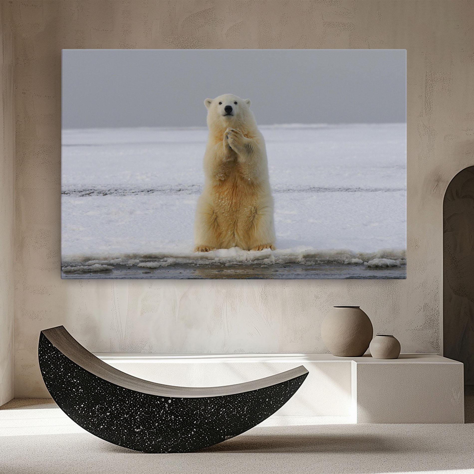 Vászonkép Icebear Praying mockup 8