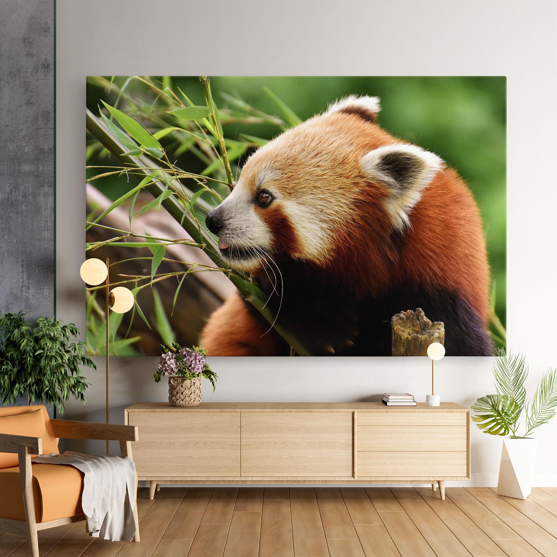 Vászonkép Cute Red Panda mockup 9