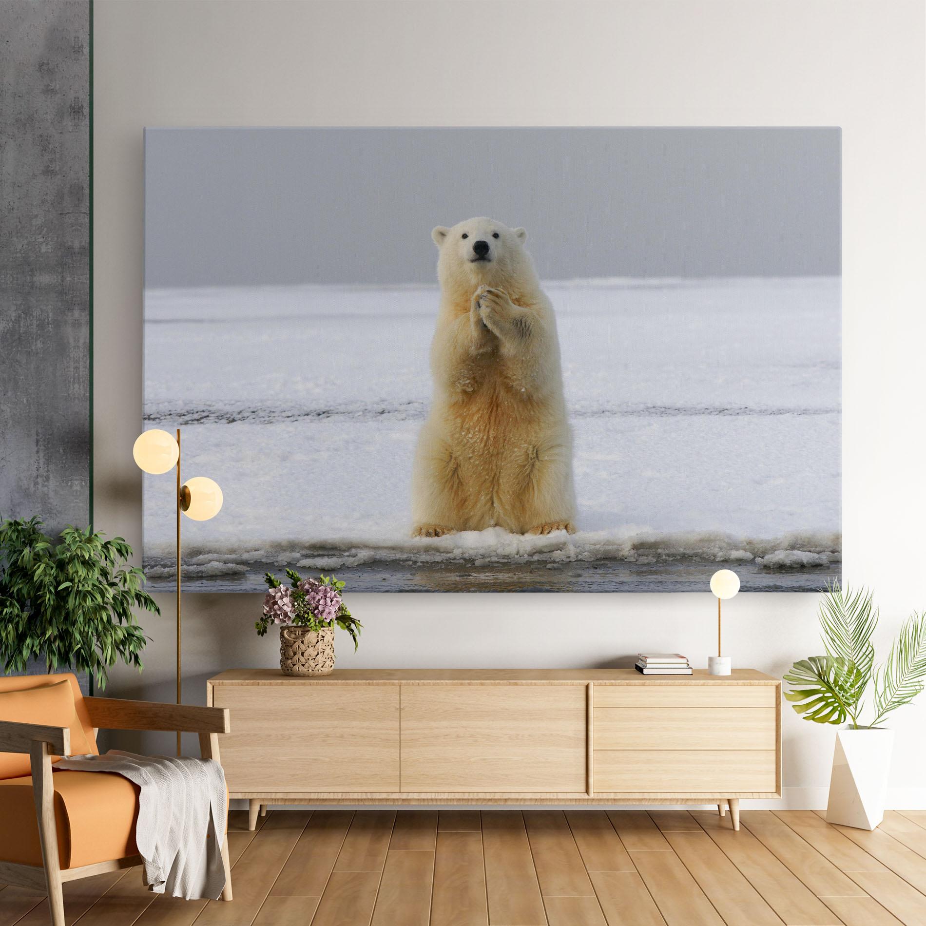 Vászonkép Icebear Praying mockup 9