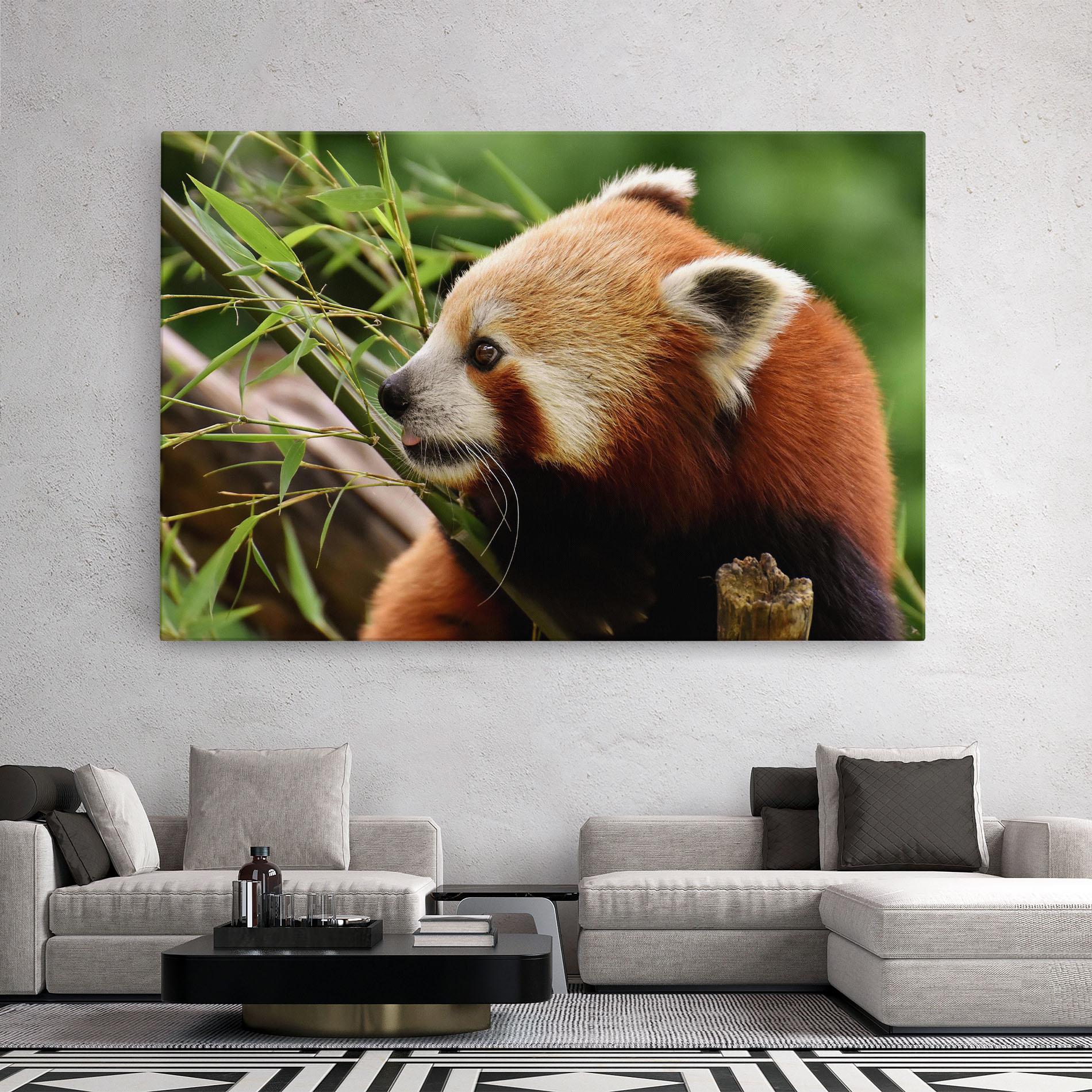 Vászonkép Cute Red Panda mockup 2