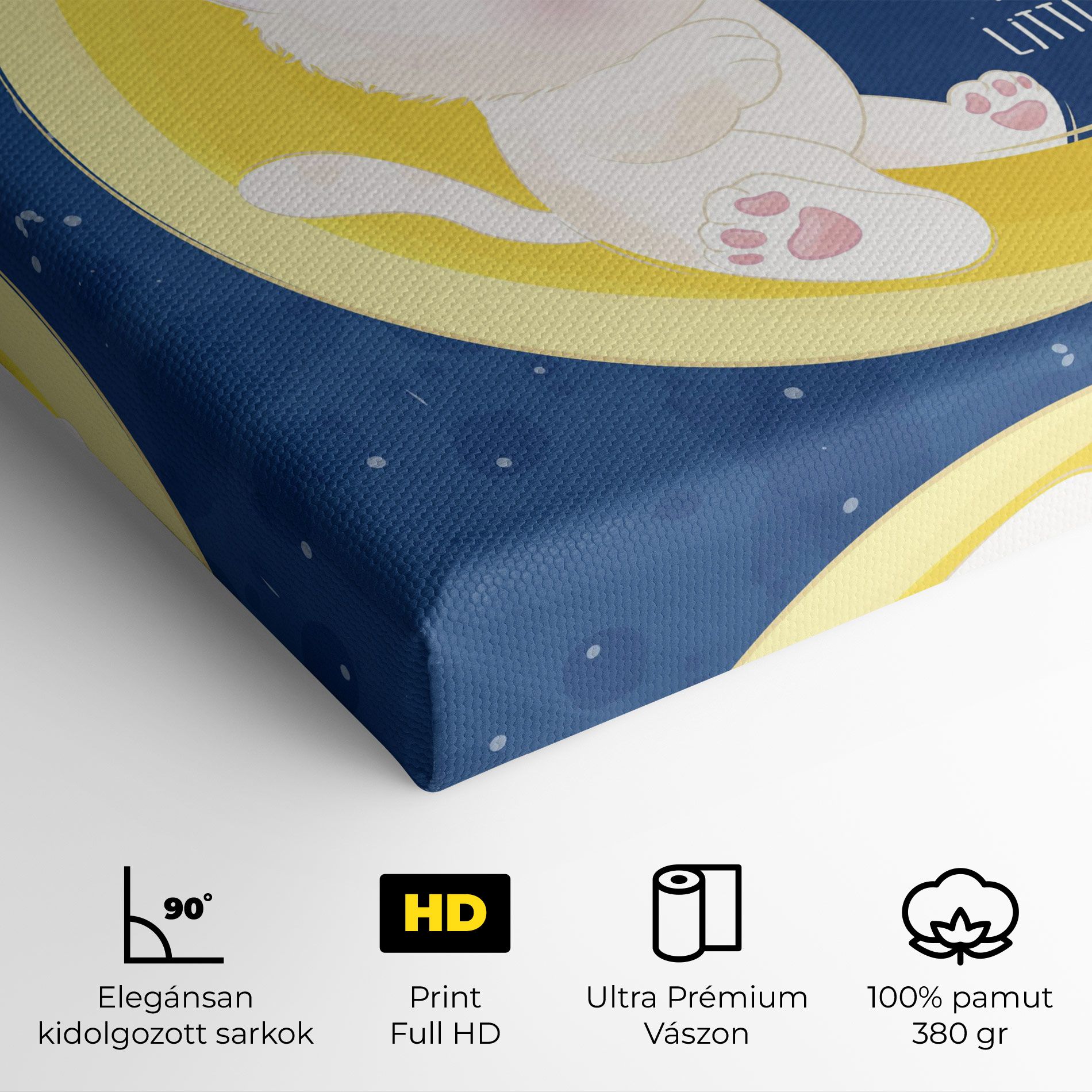 Cat Moon Star mockup 4