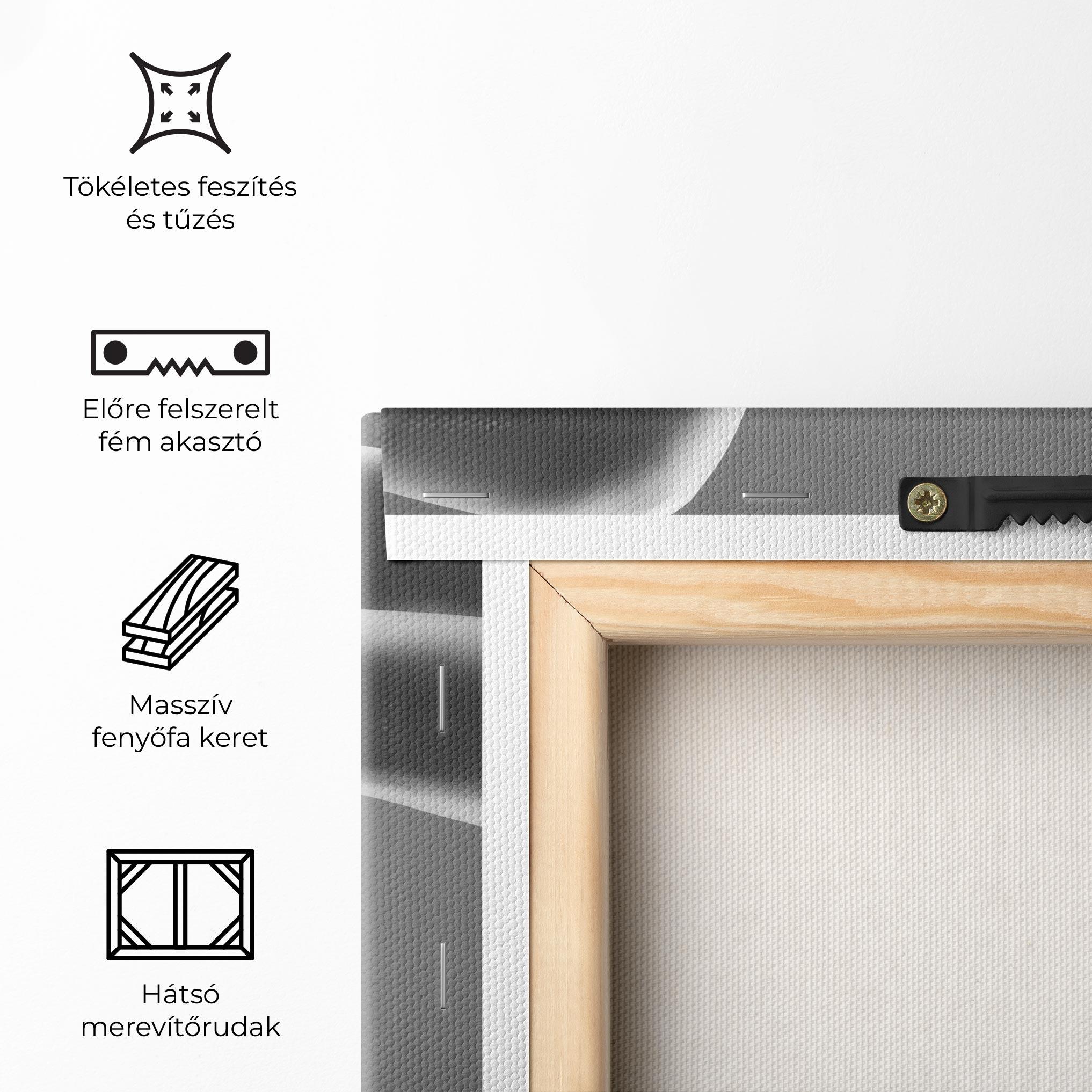 Vászonkép Black Shoes On Grey mockup 5