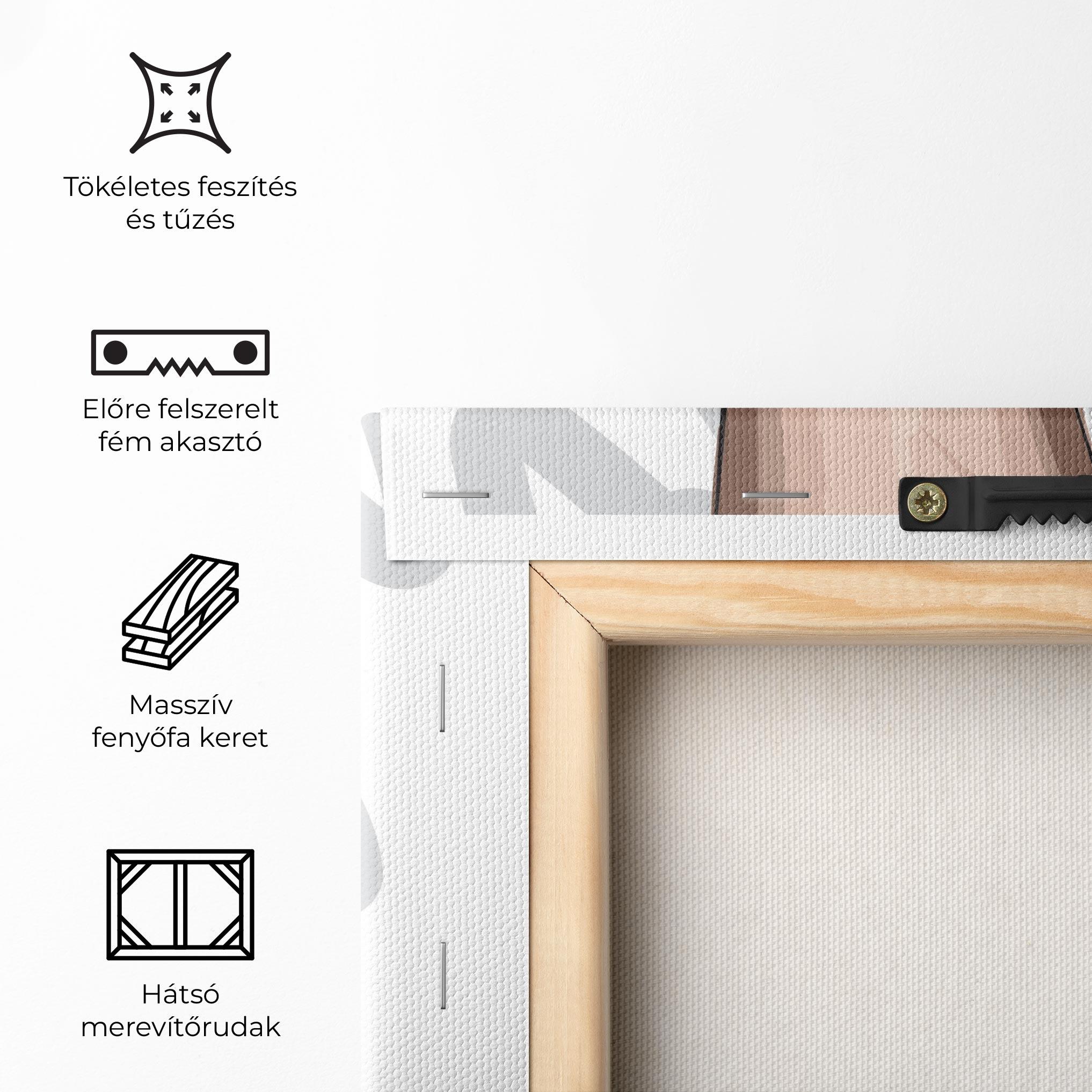 Vászonkép Black Woman Shoes mockup 5