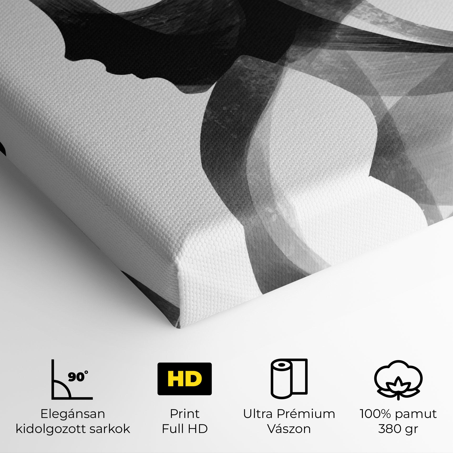 Vászonkép Abstract Grey Couple mockup 4