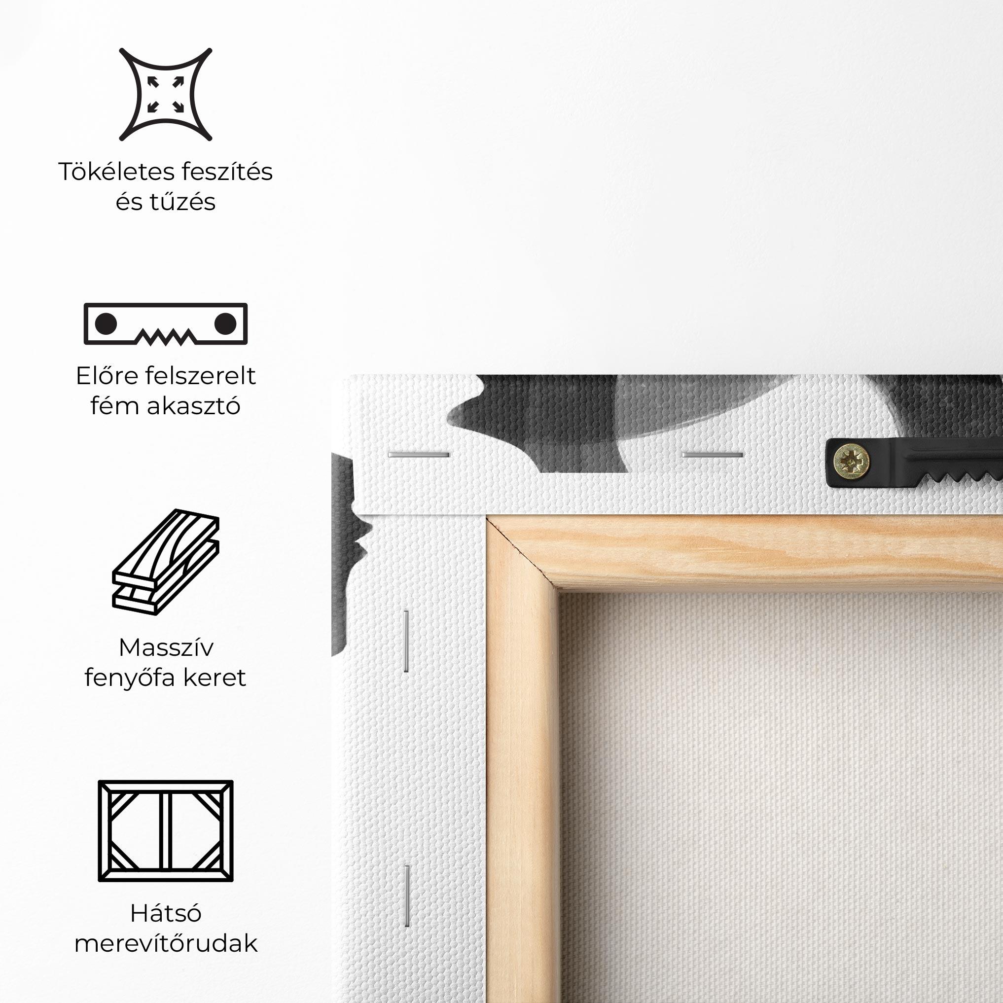 Vászonkép Abstract Grey Couple mockup 5