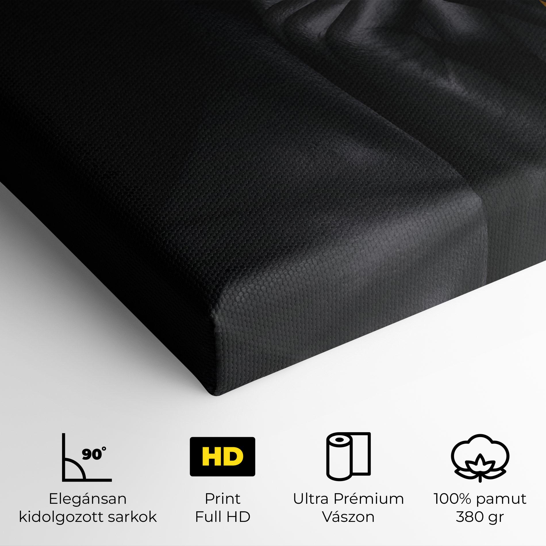 Vászonkép Silence Lips Portrait mockup 4