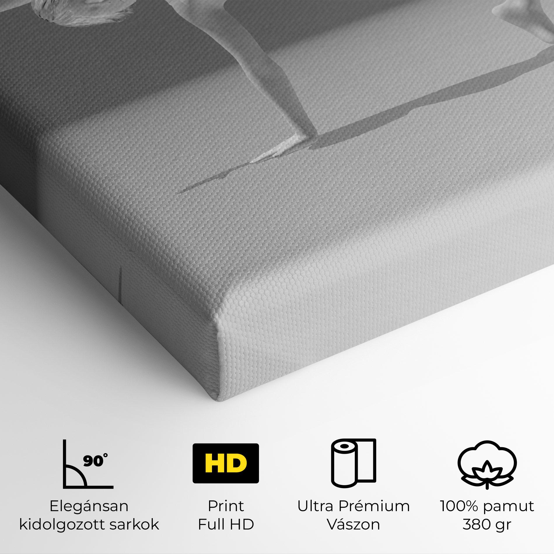 Vászonkép 3d Gymnastic Pose mockup 4