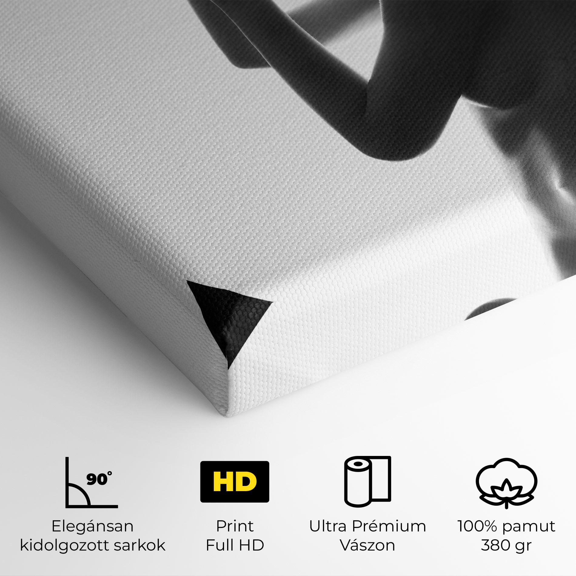 Vászonkép Body Figure mockup 4