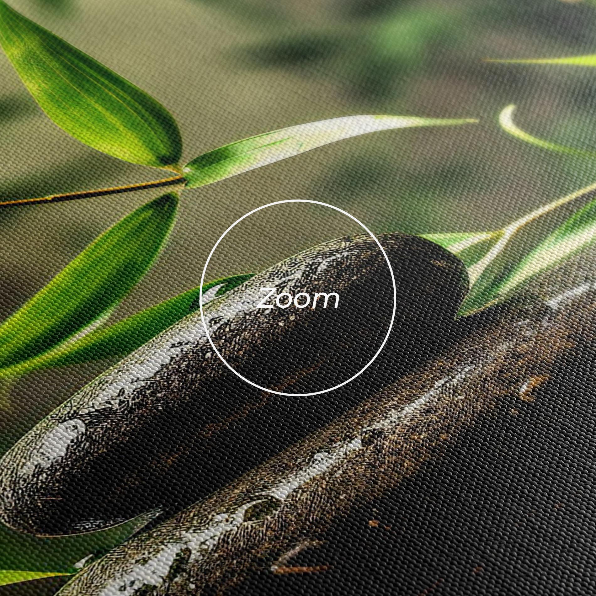 Vászonkép Bamboo Plant Water mockup 3