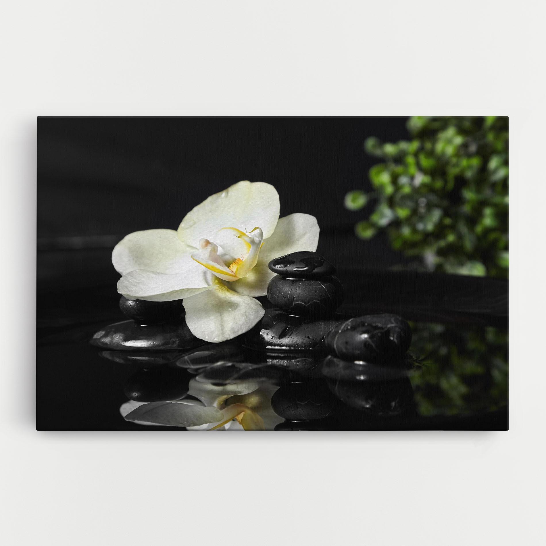 Vászonkép White Spa Flower mockup 0